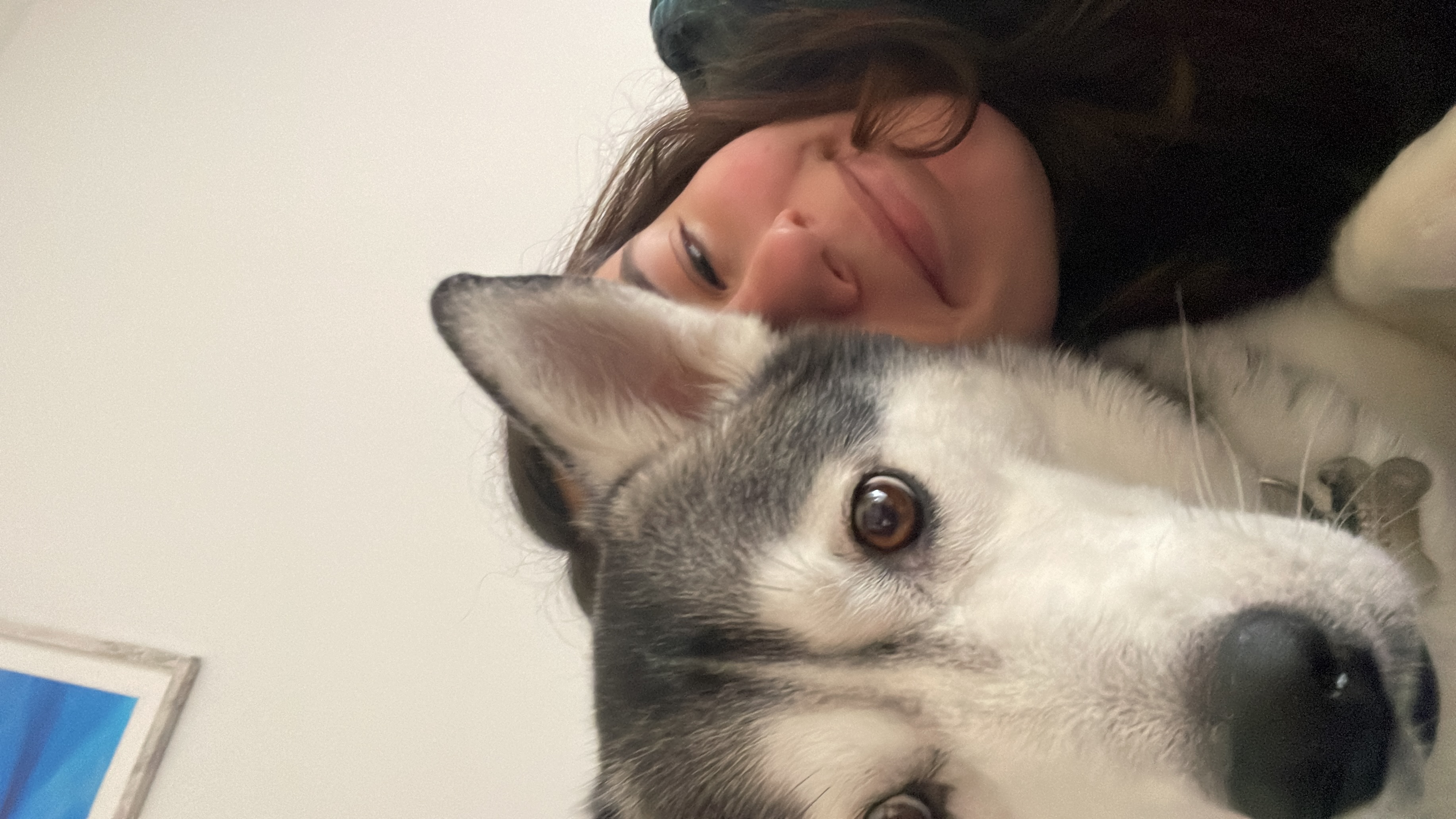 image-5