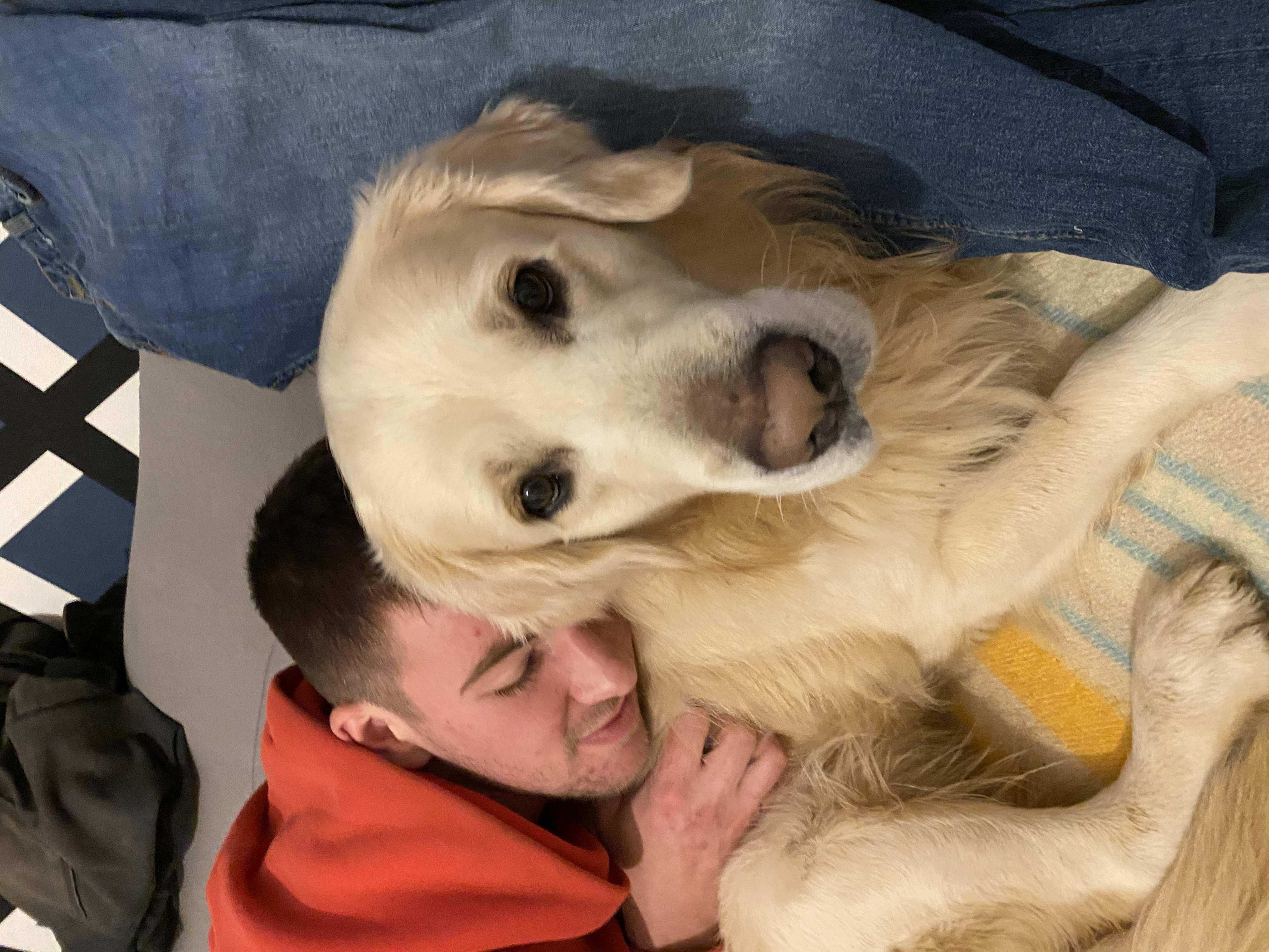 image-6
