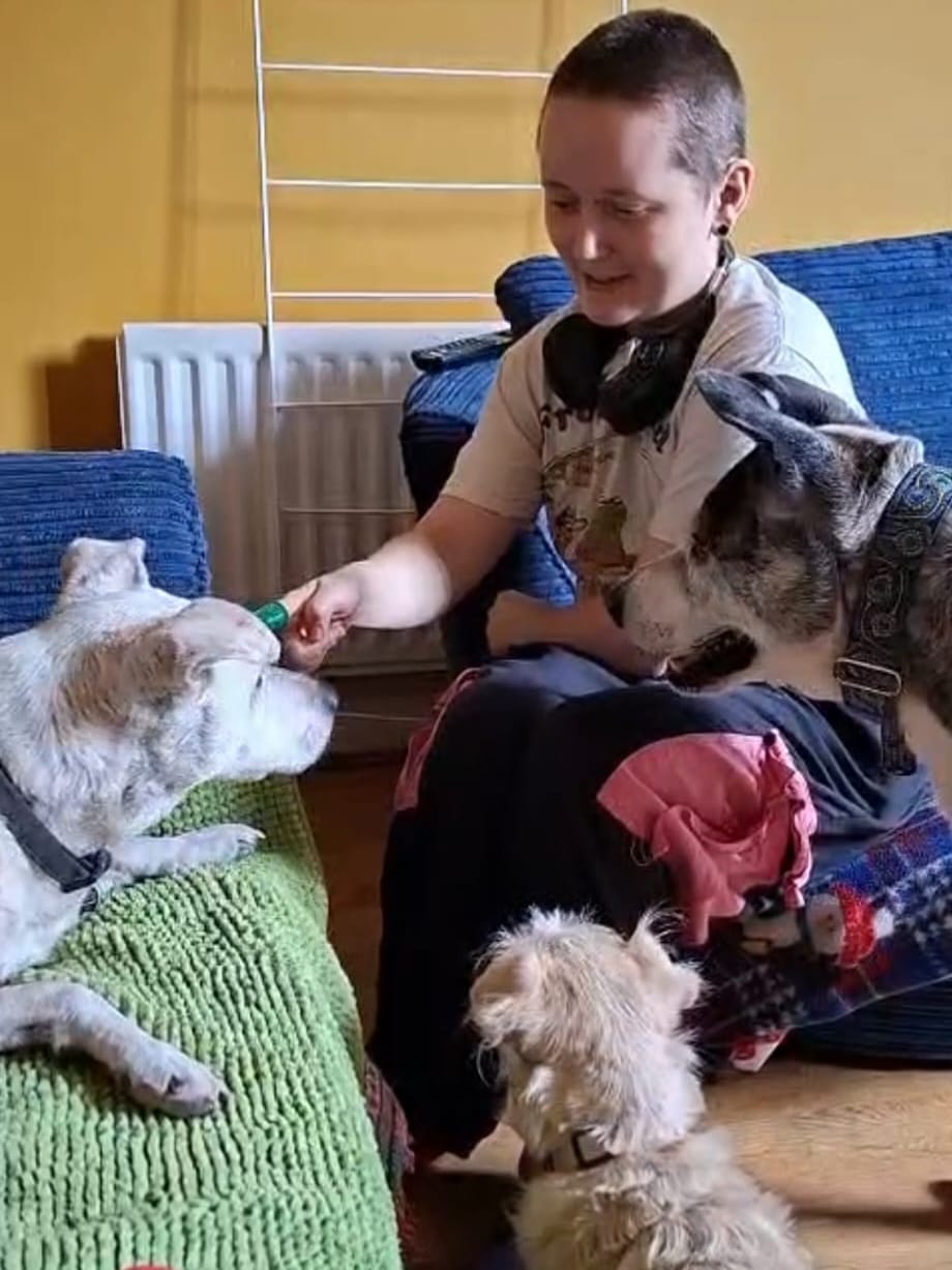 image-1