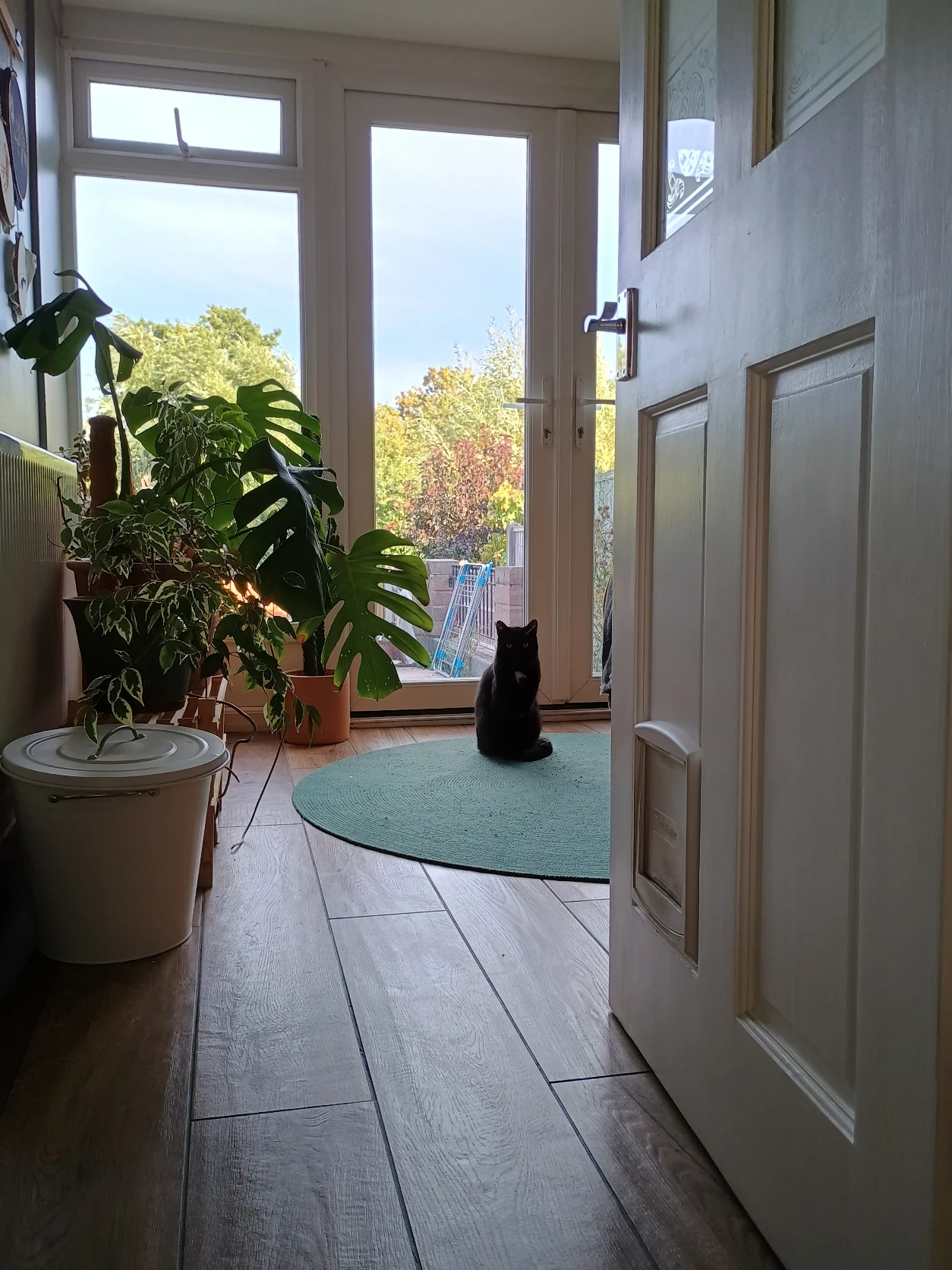image-11