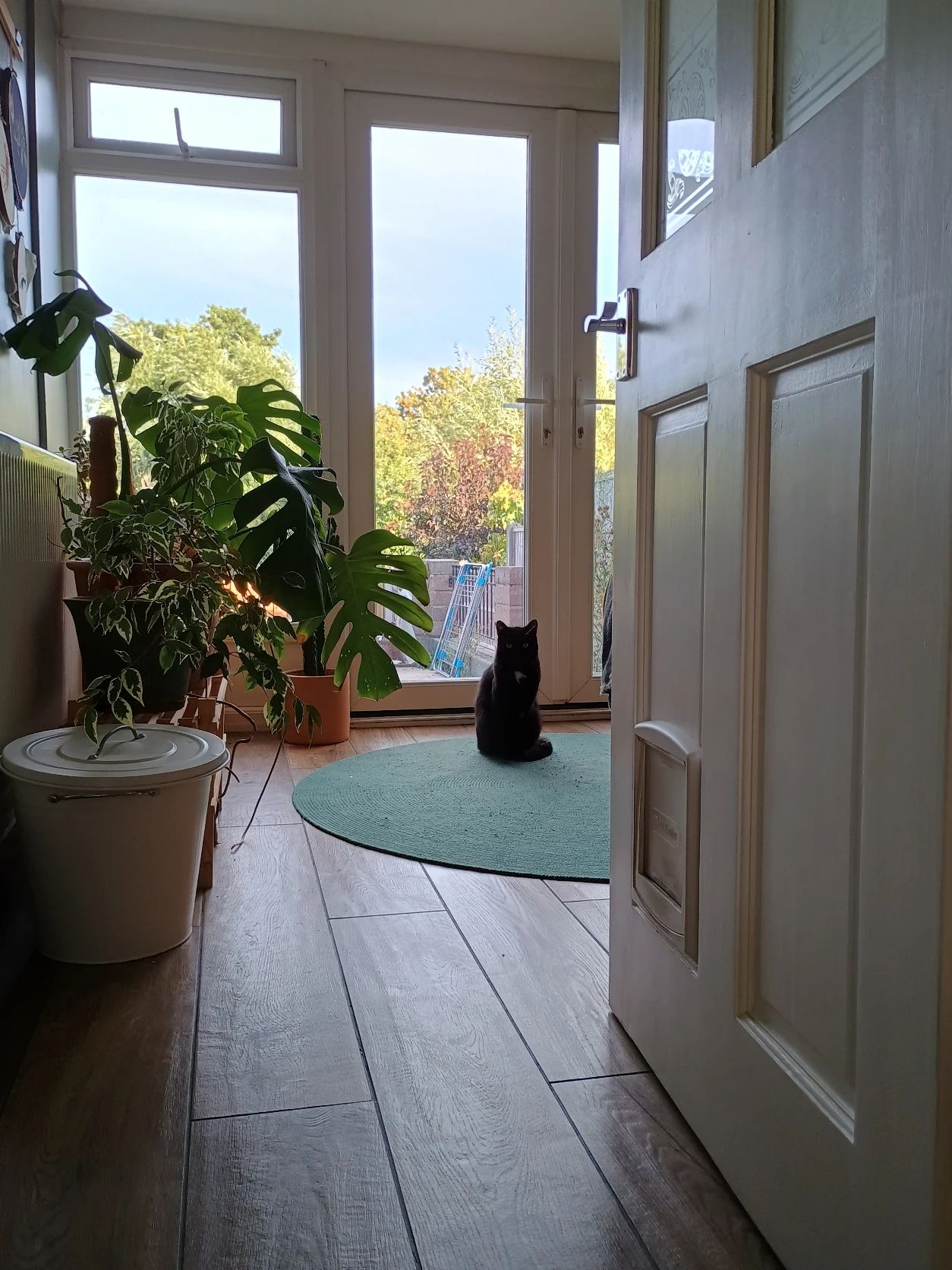 image-11