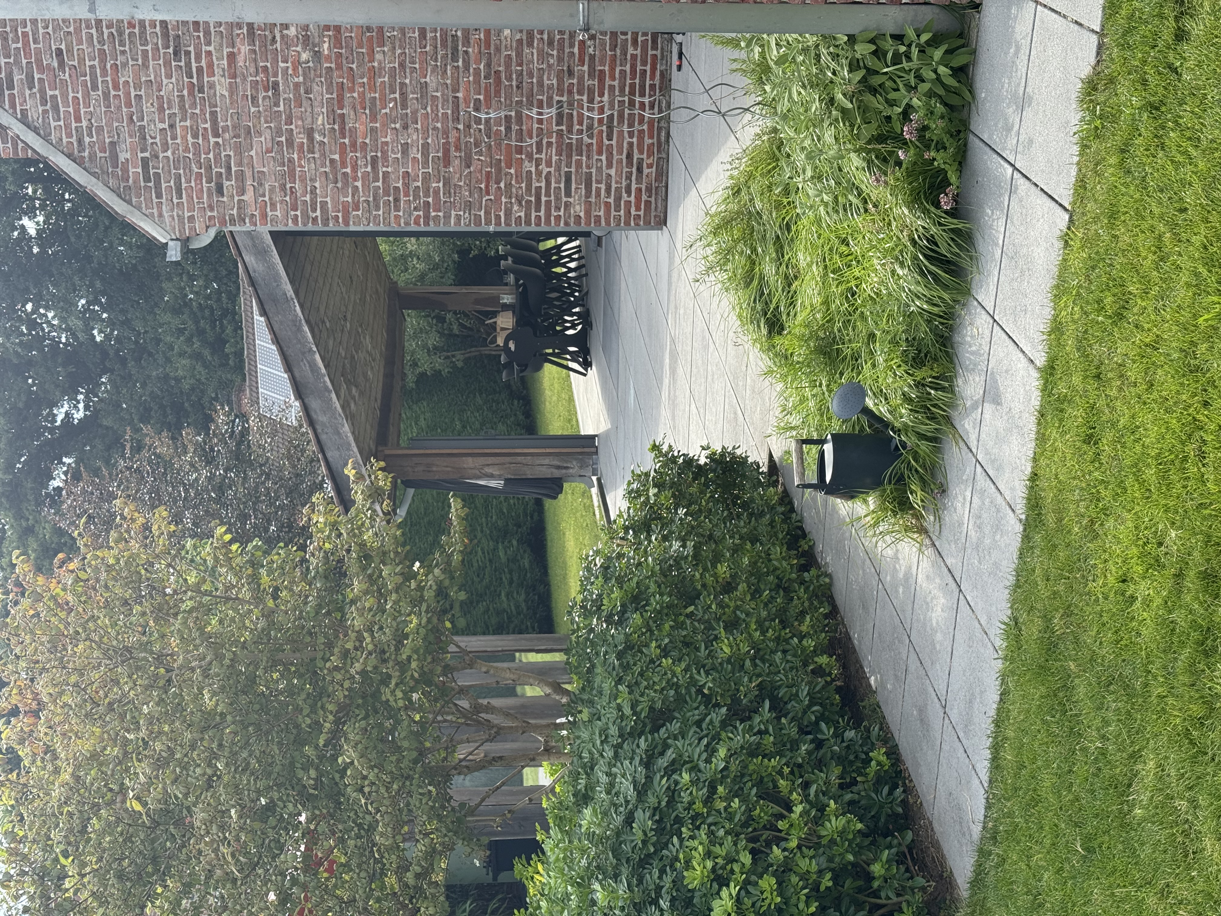 image-19