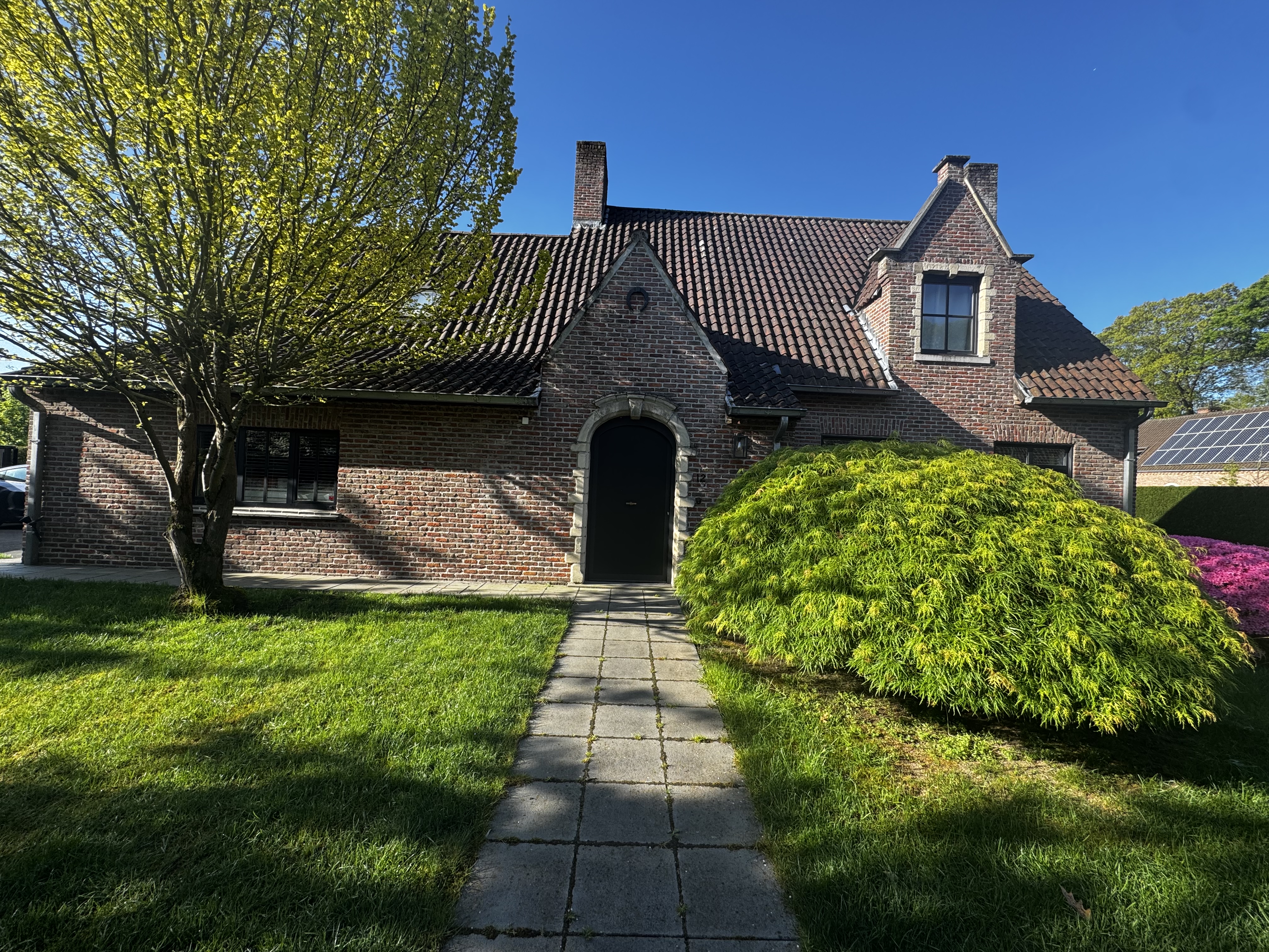 image-17
