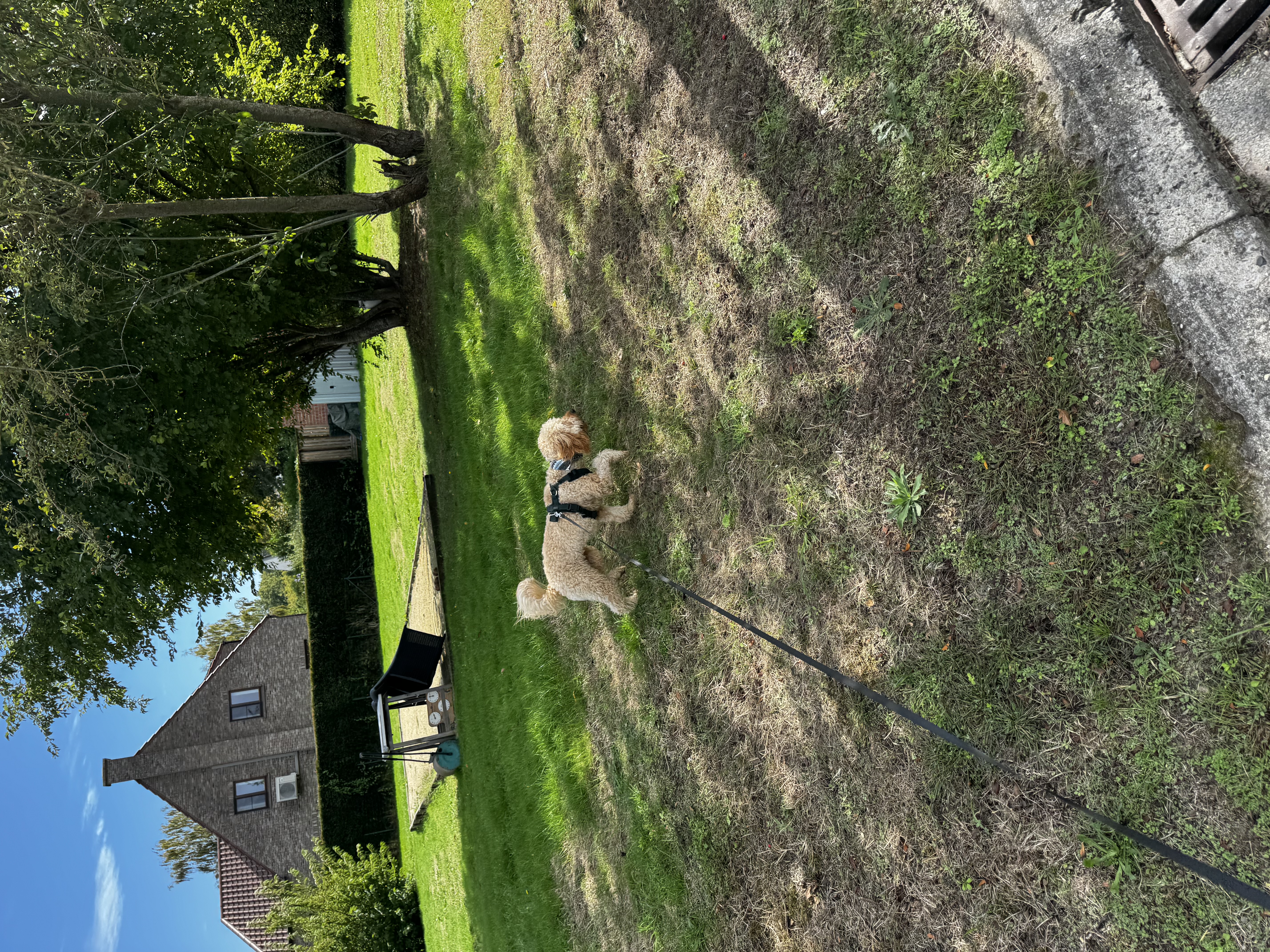 image-20