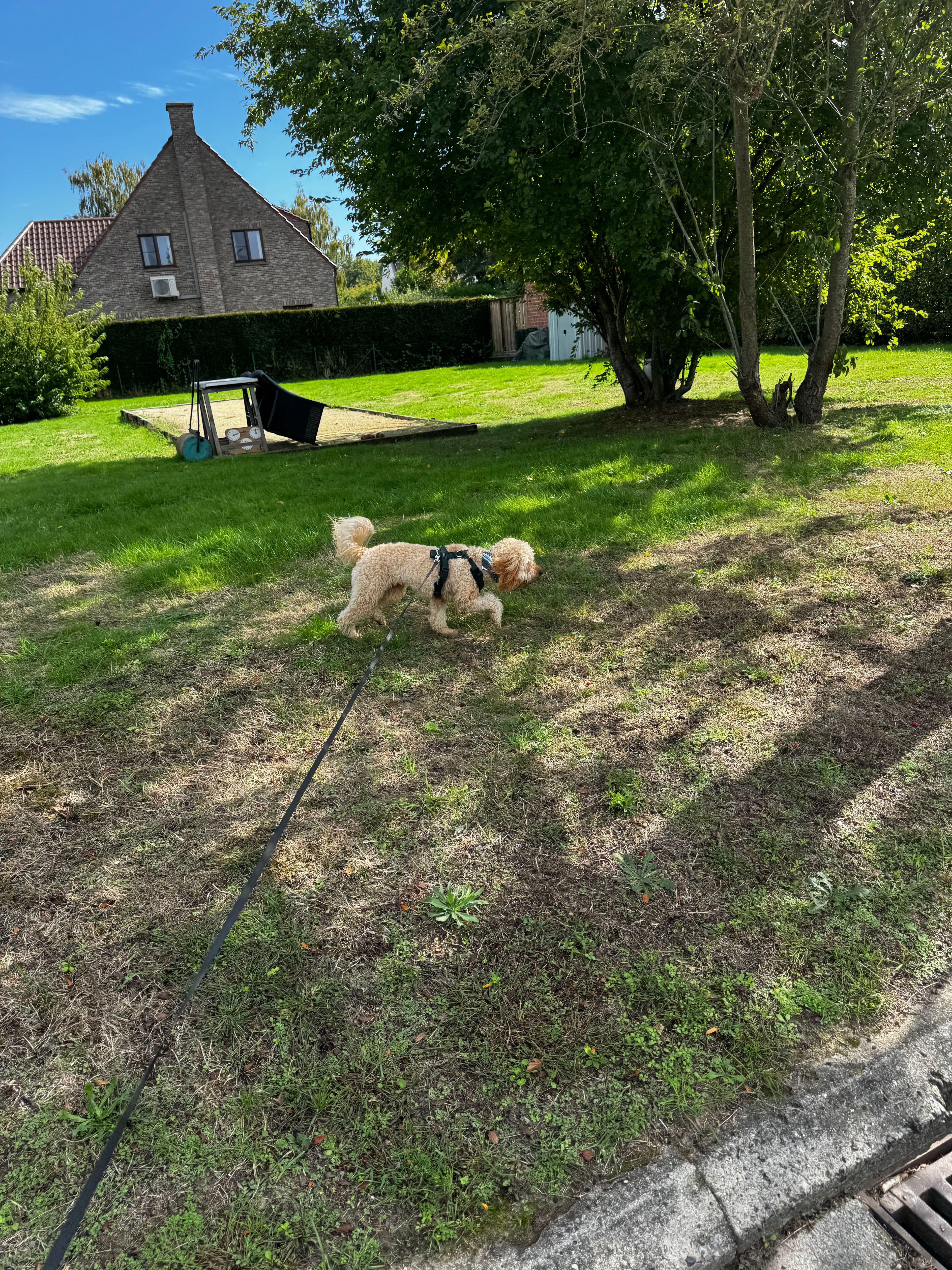 image-20