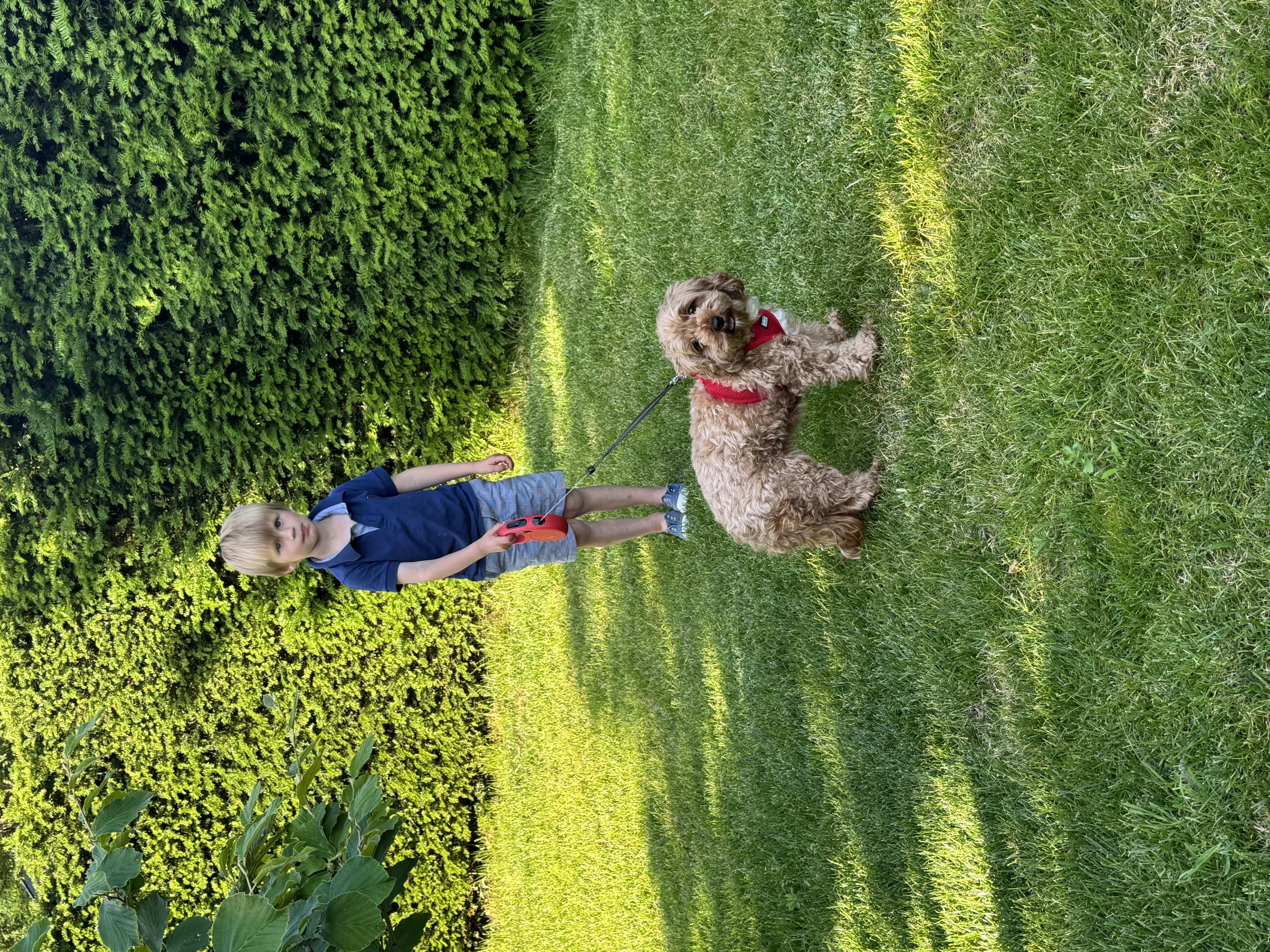 image-6