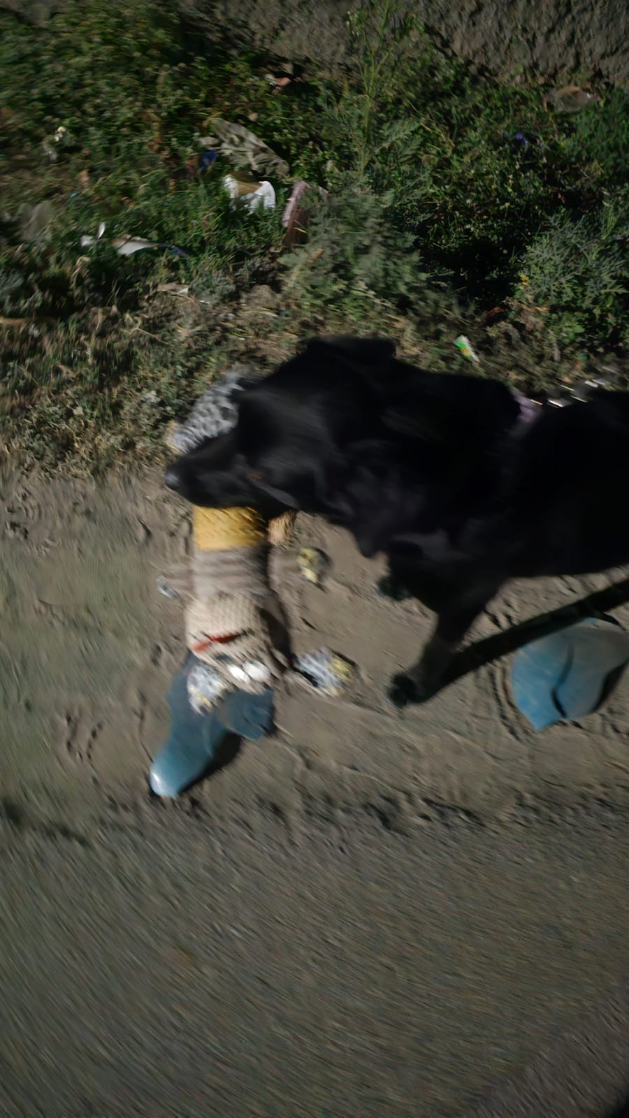 image-6