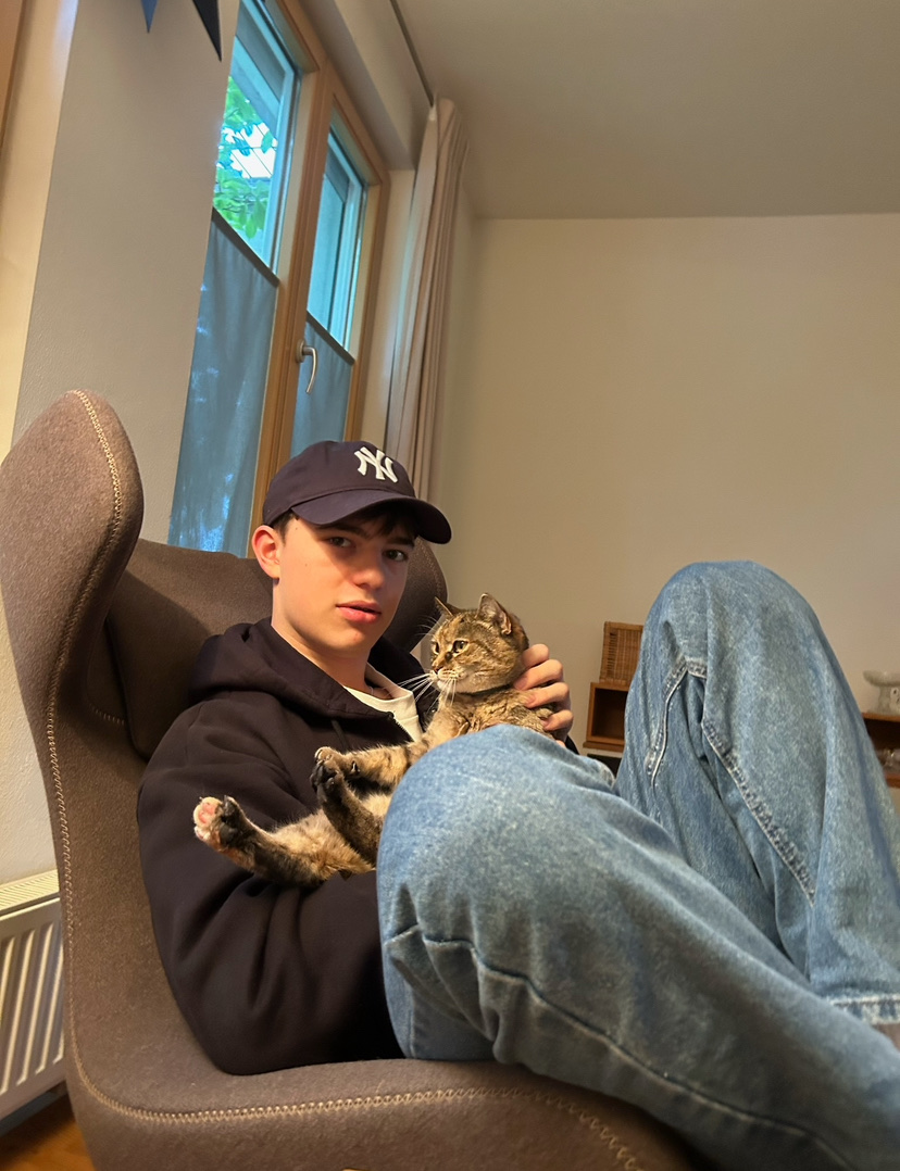 image-7