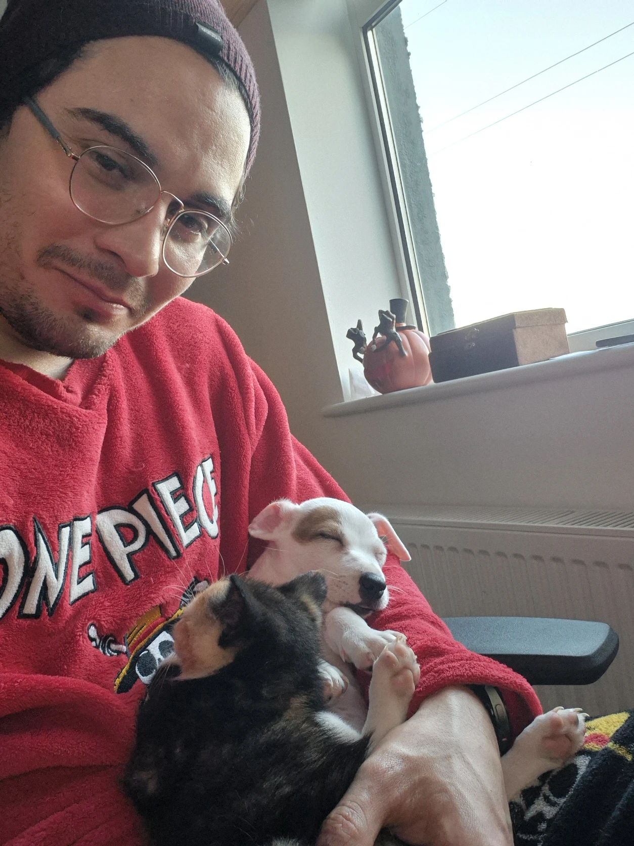 image-8