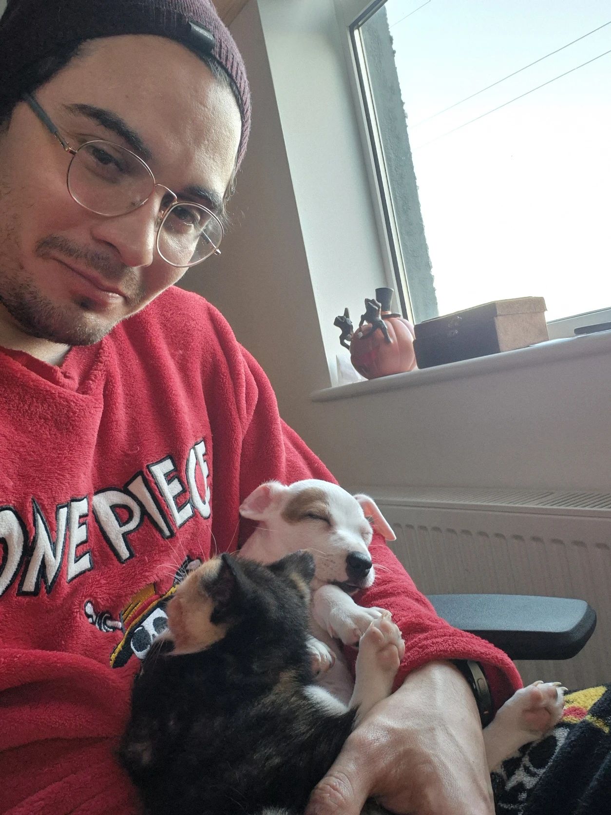 image-8
