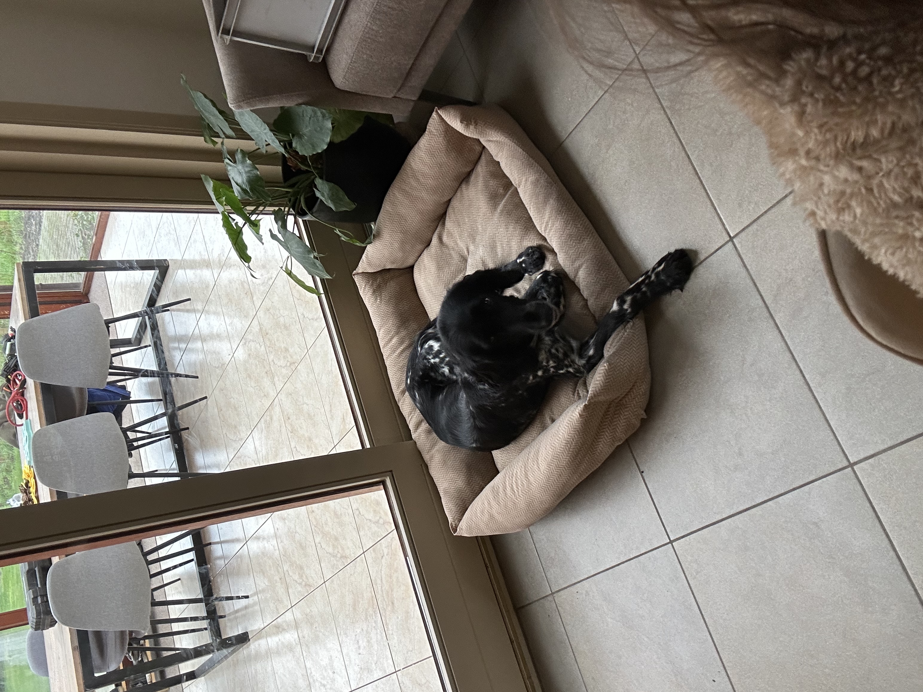 image-18