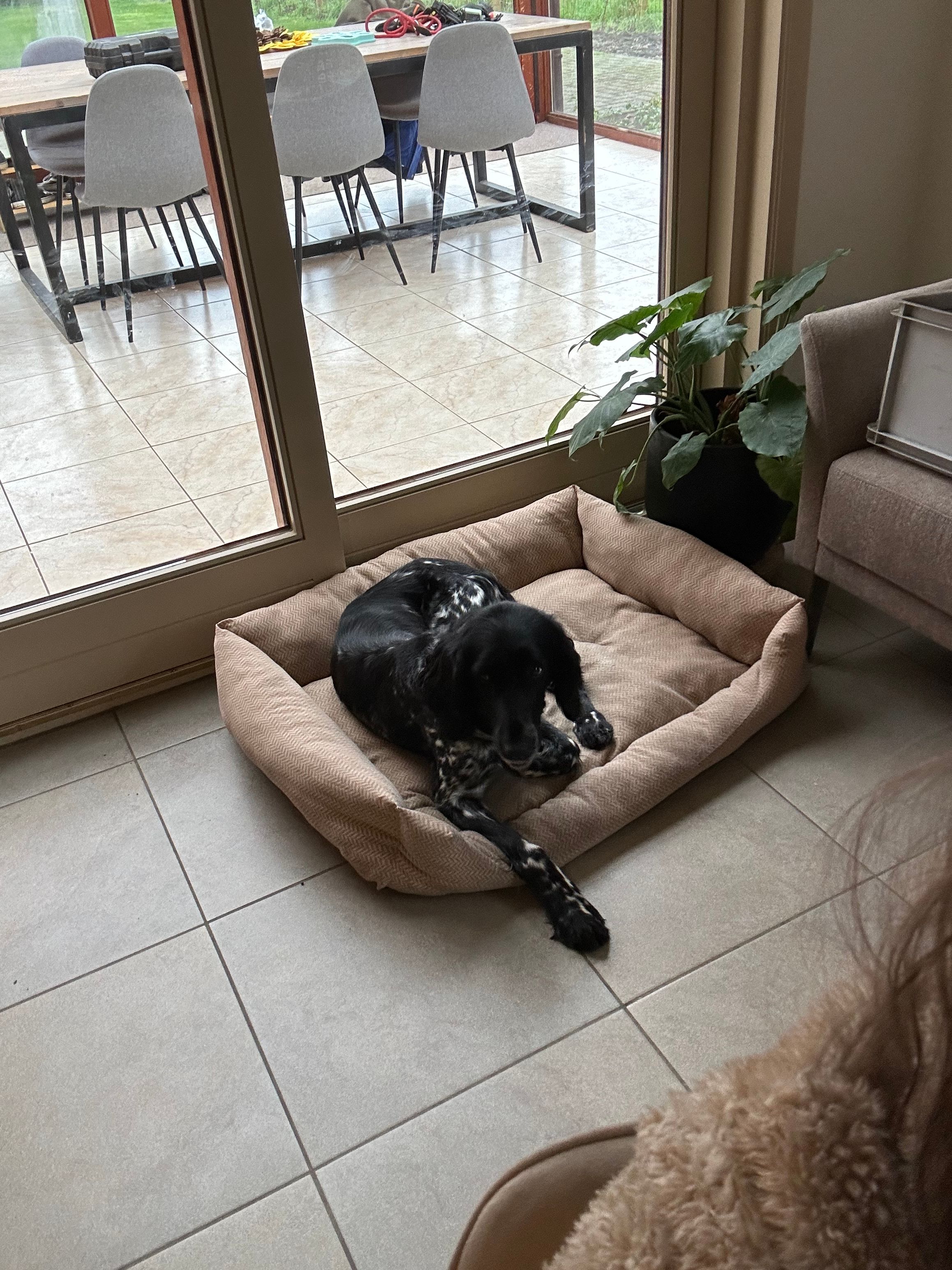 image-18