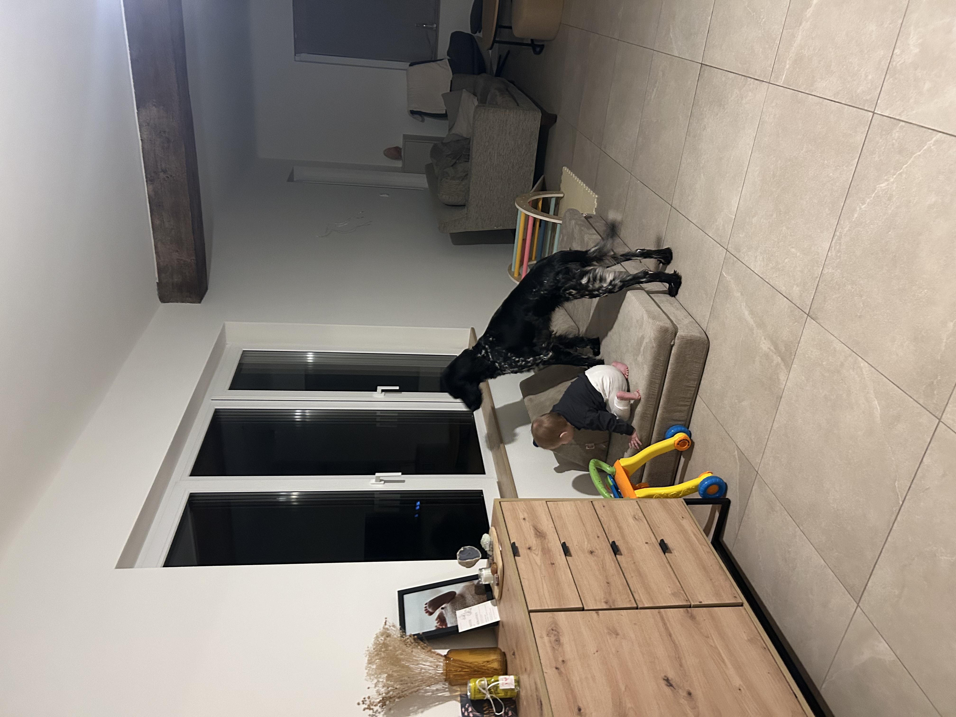 image-19