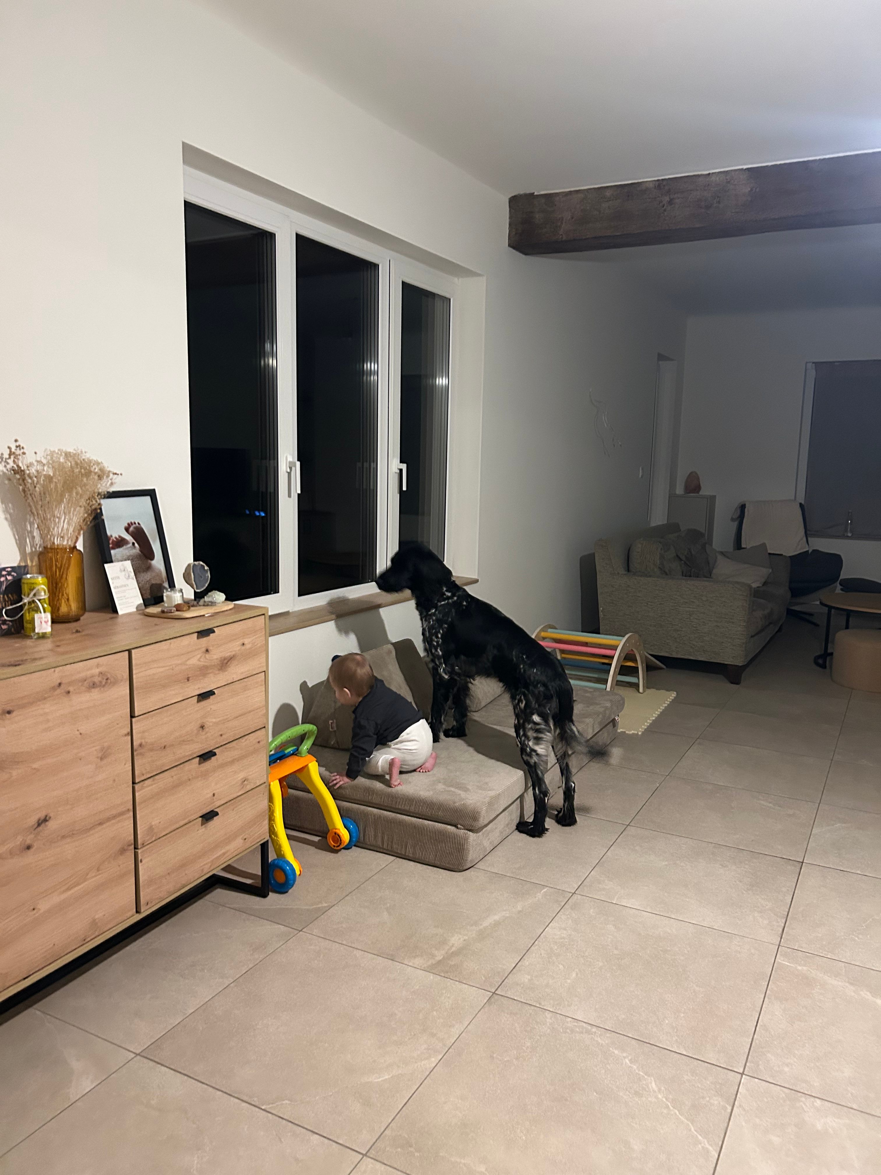 image-19