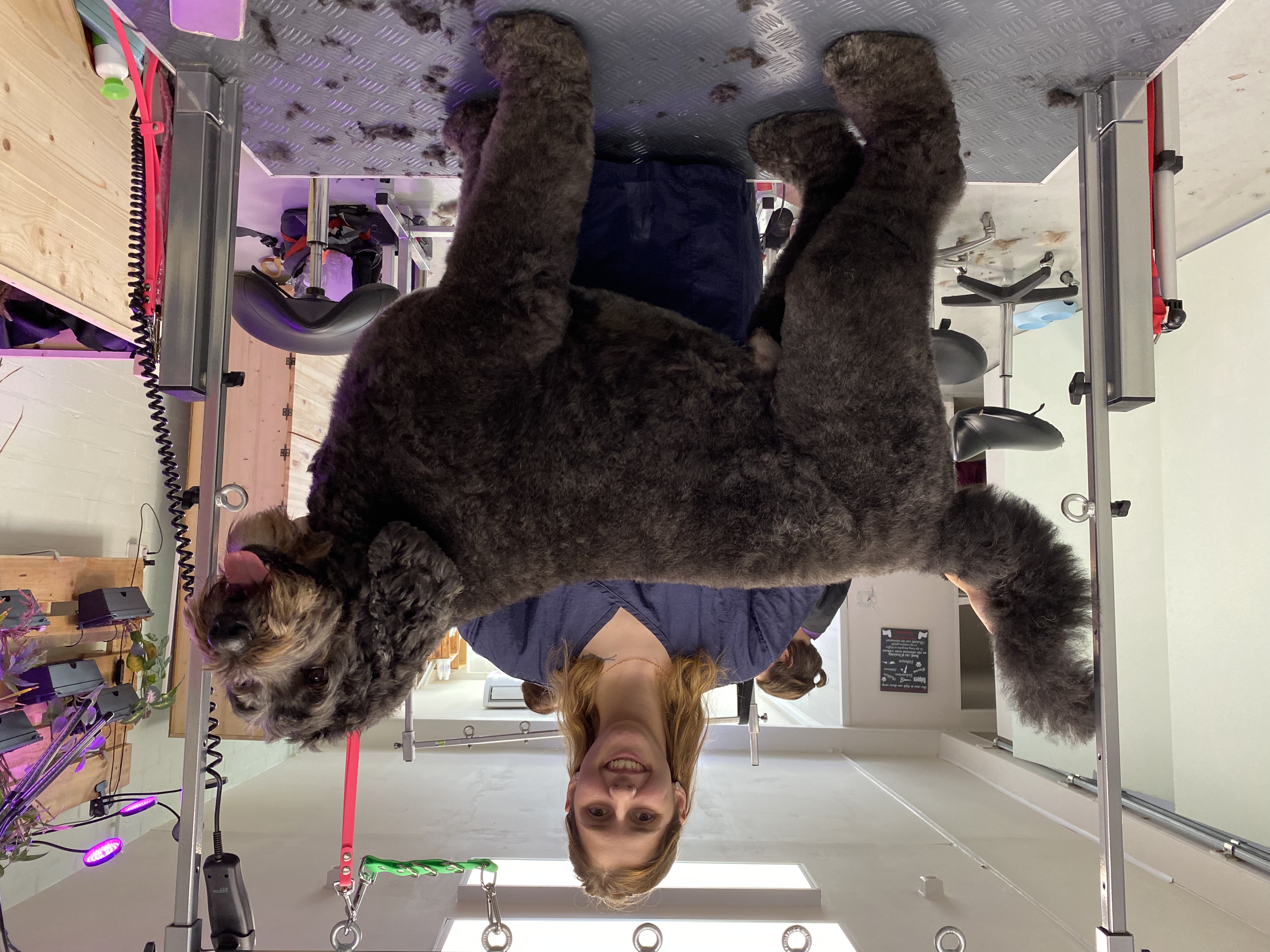 image-14