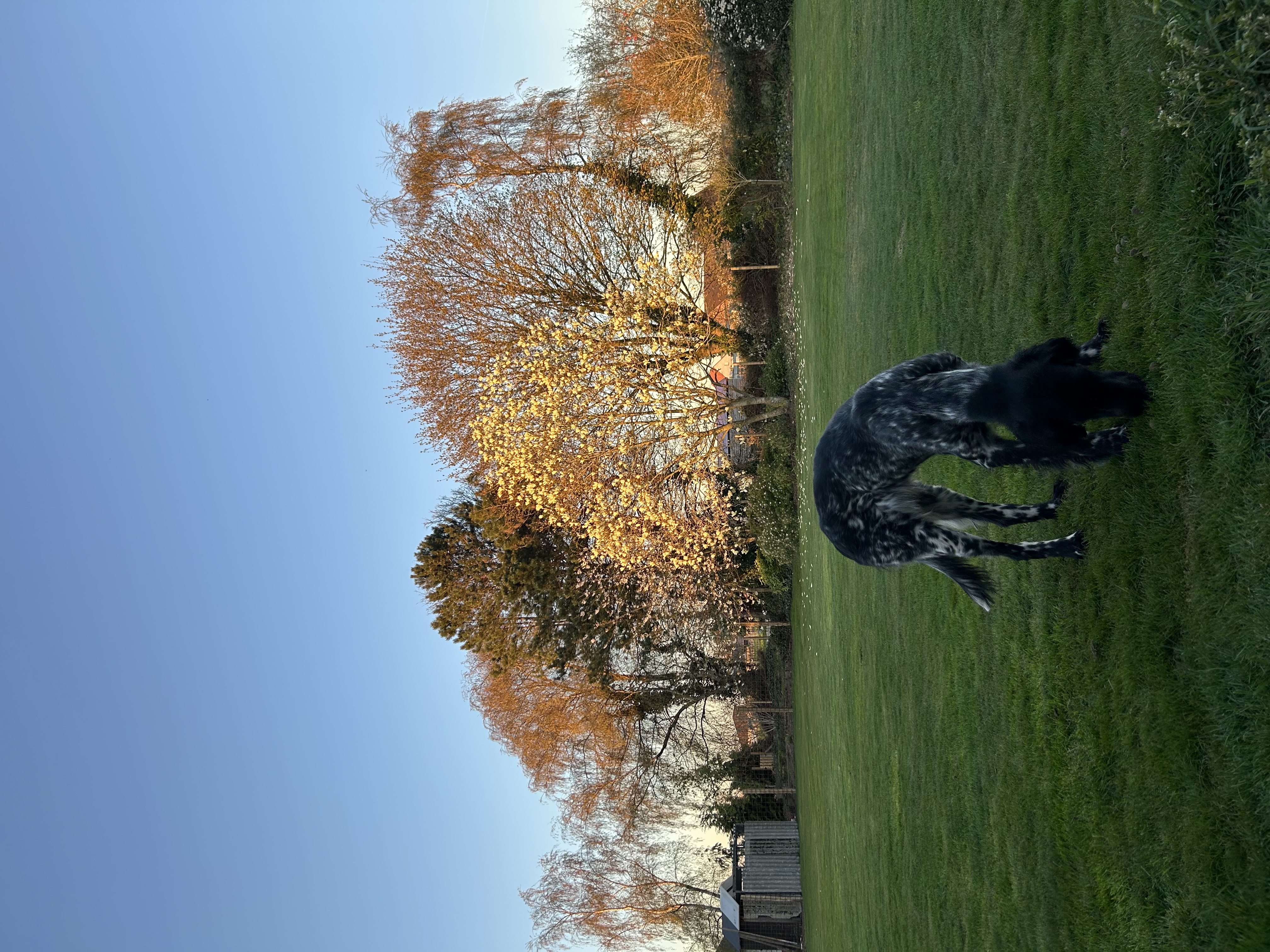image-15