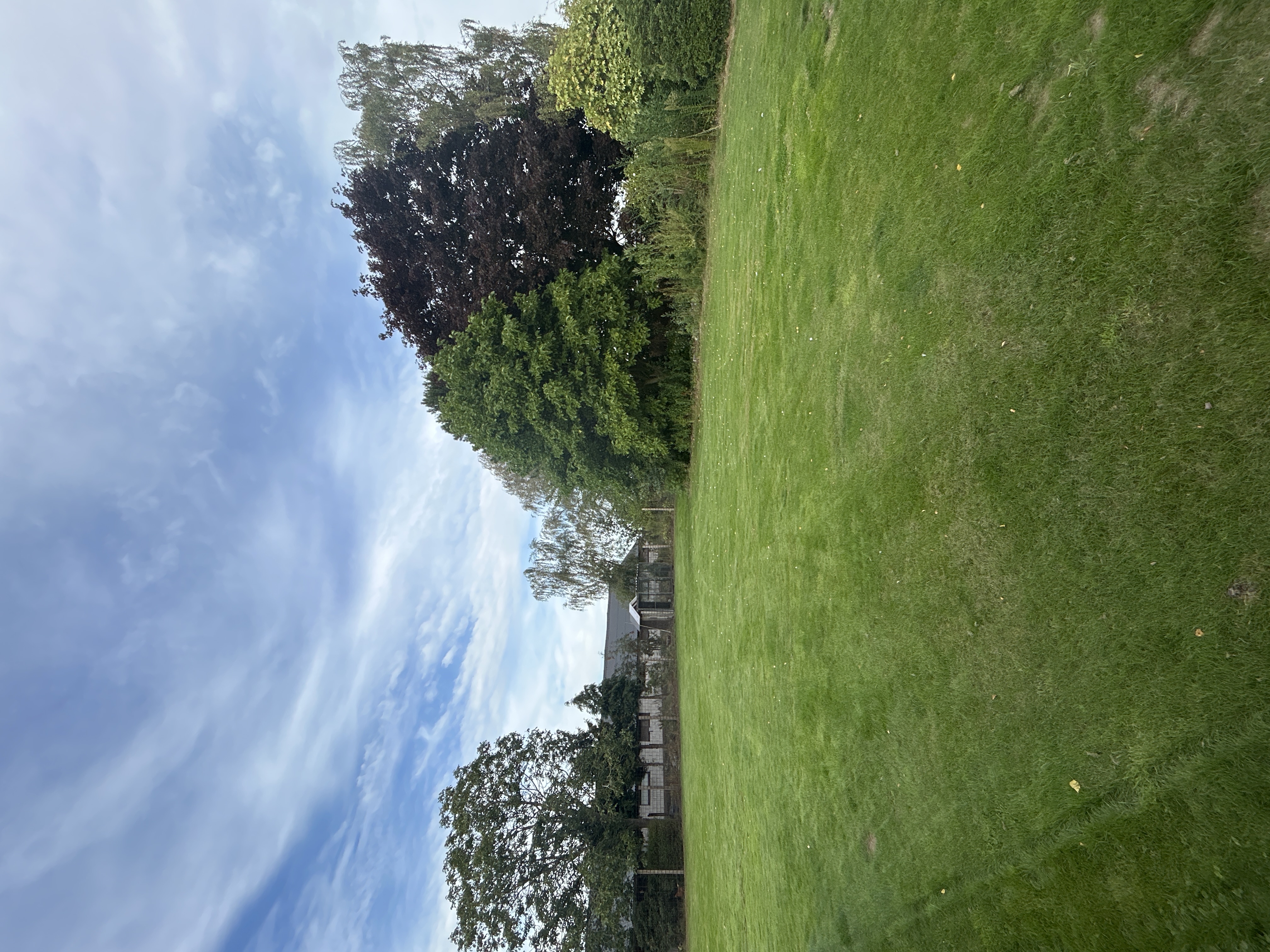 image-17