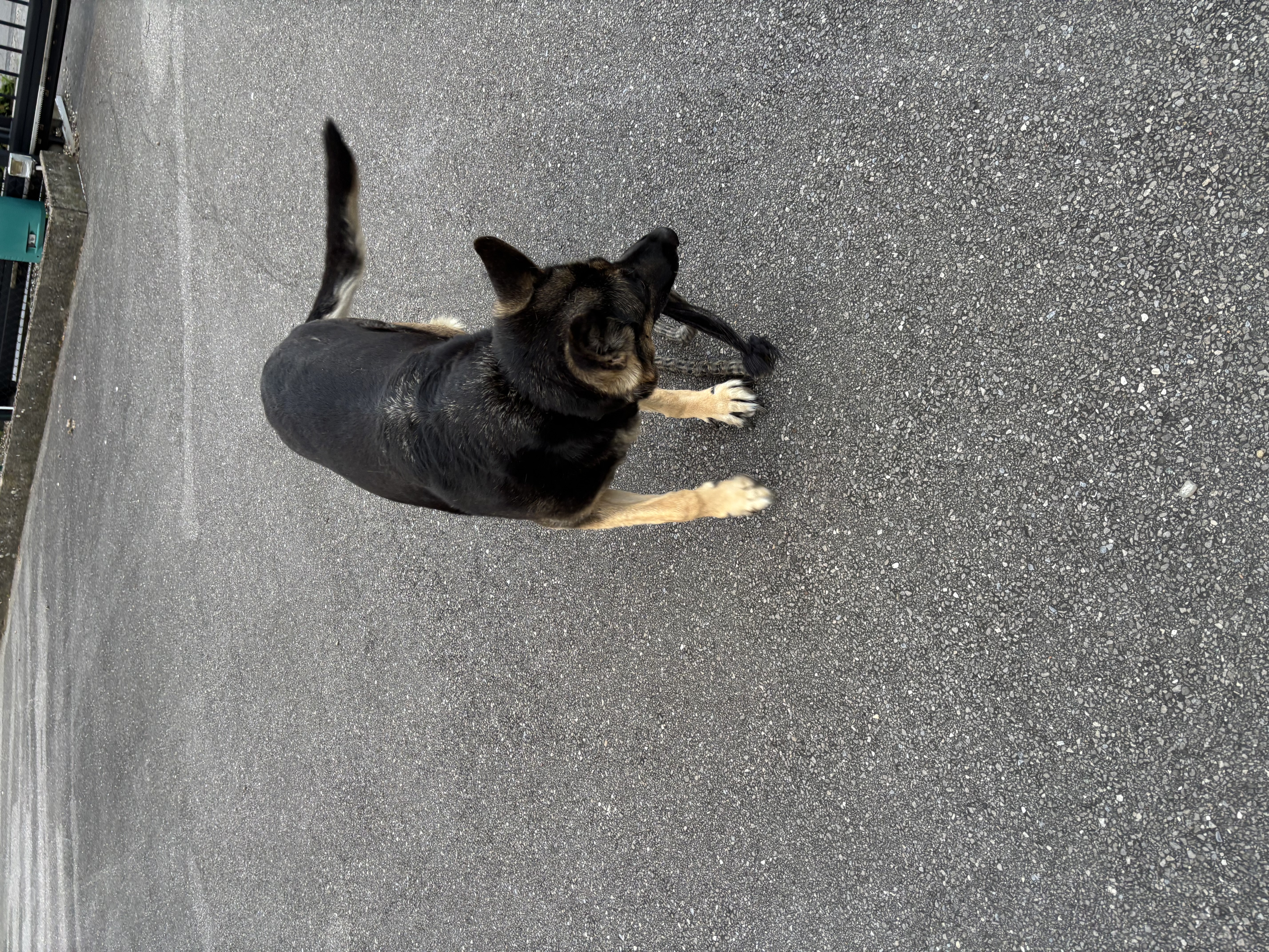 image-15