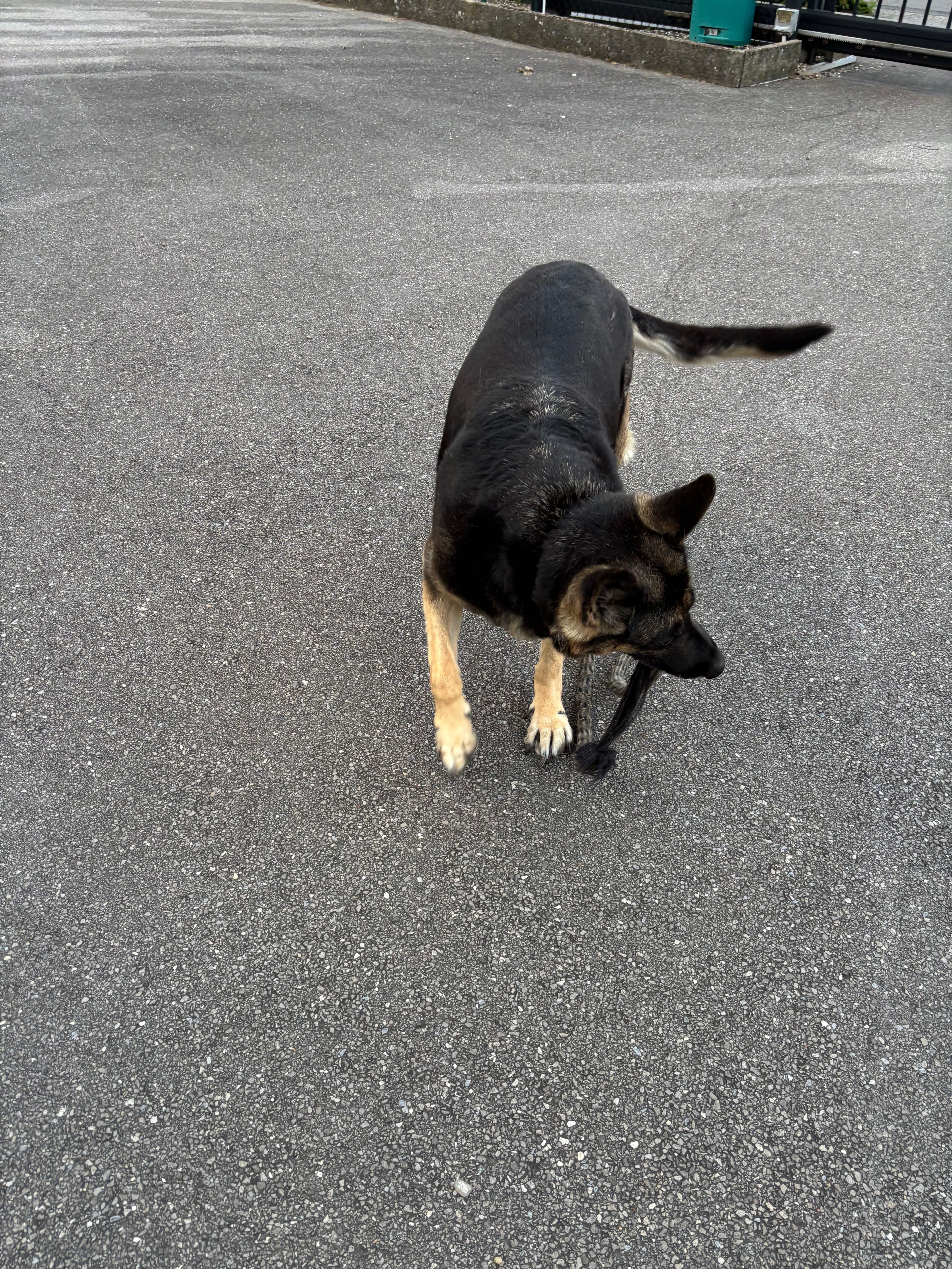 image-15