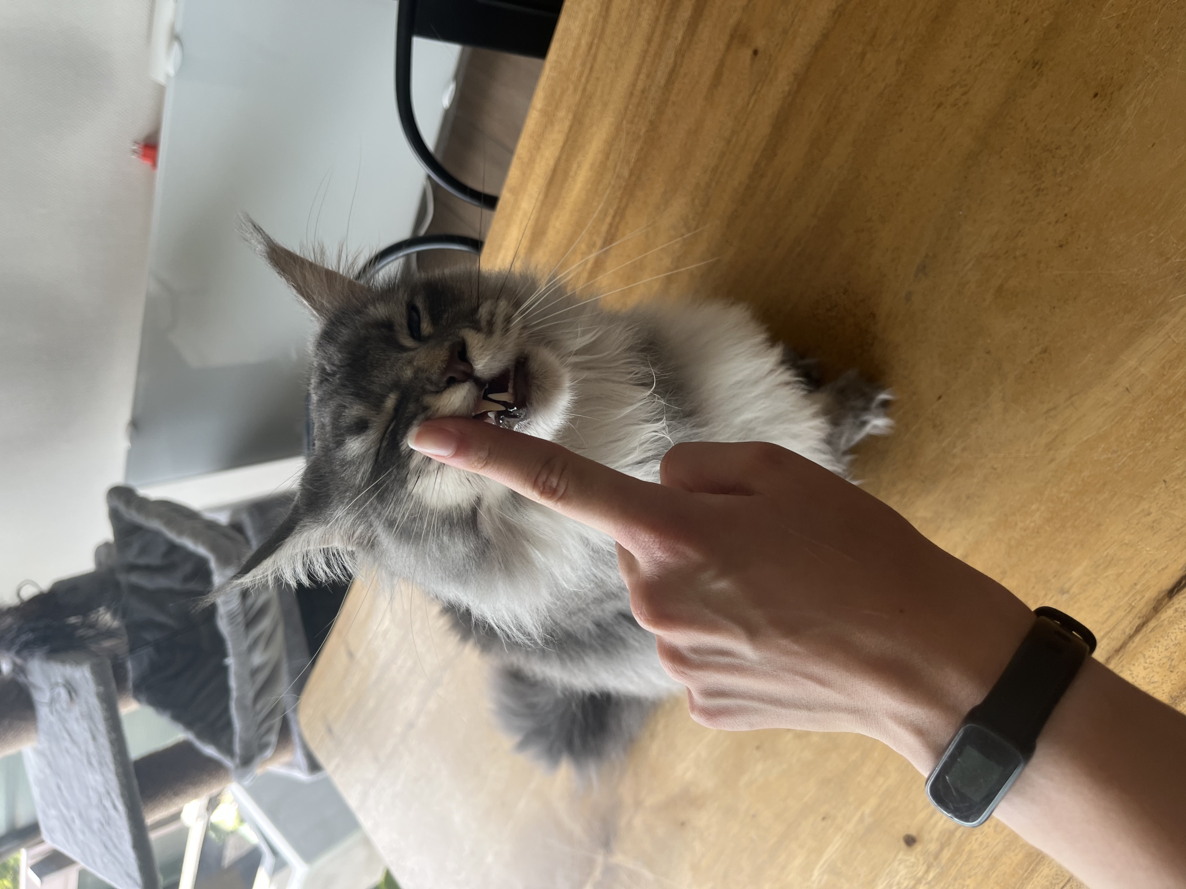 image-7