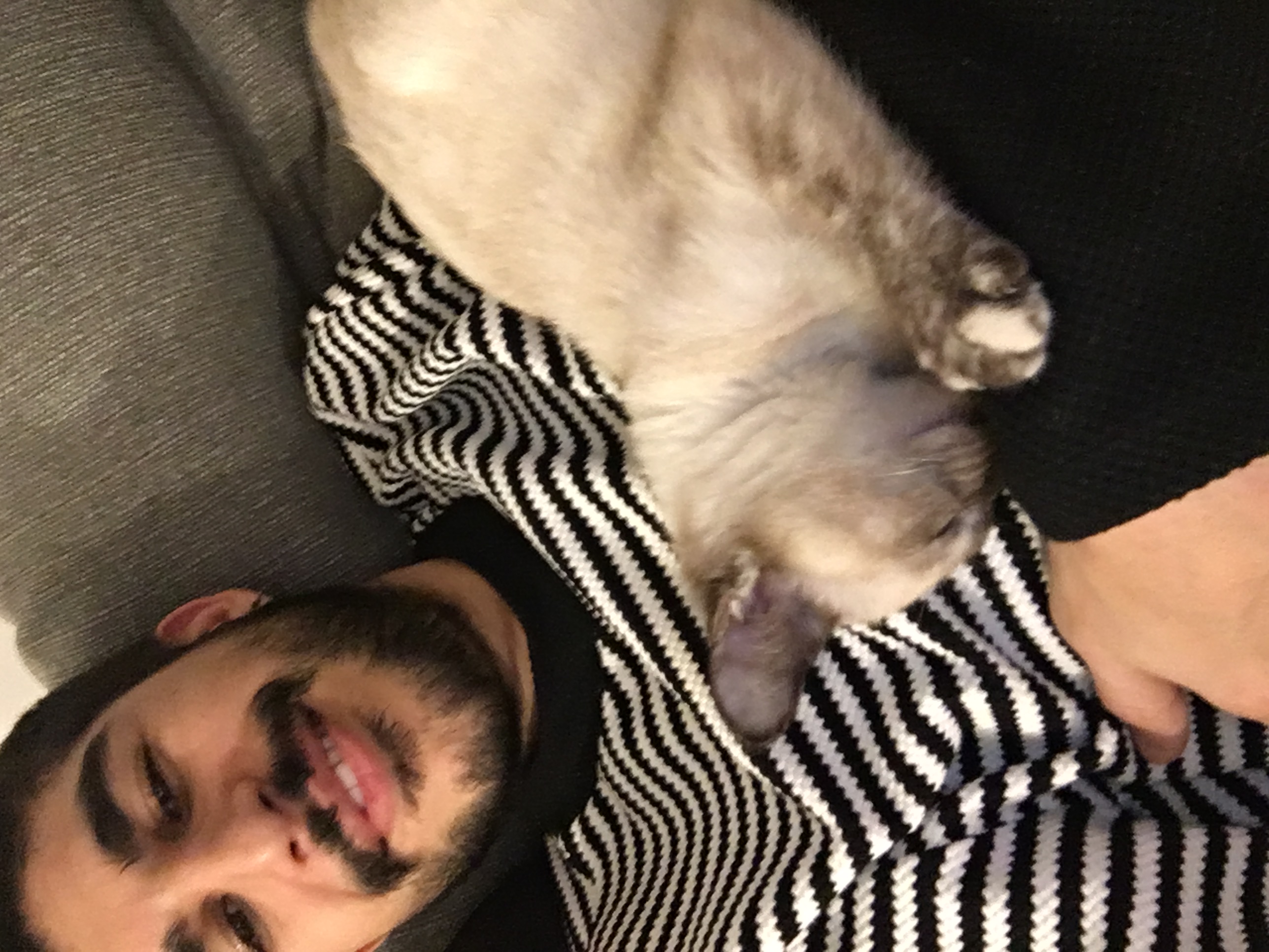 image-6
