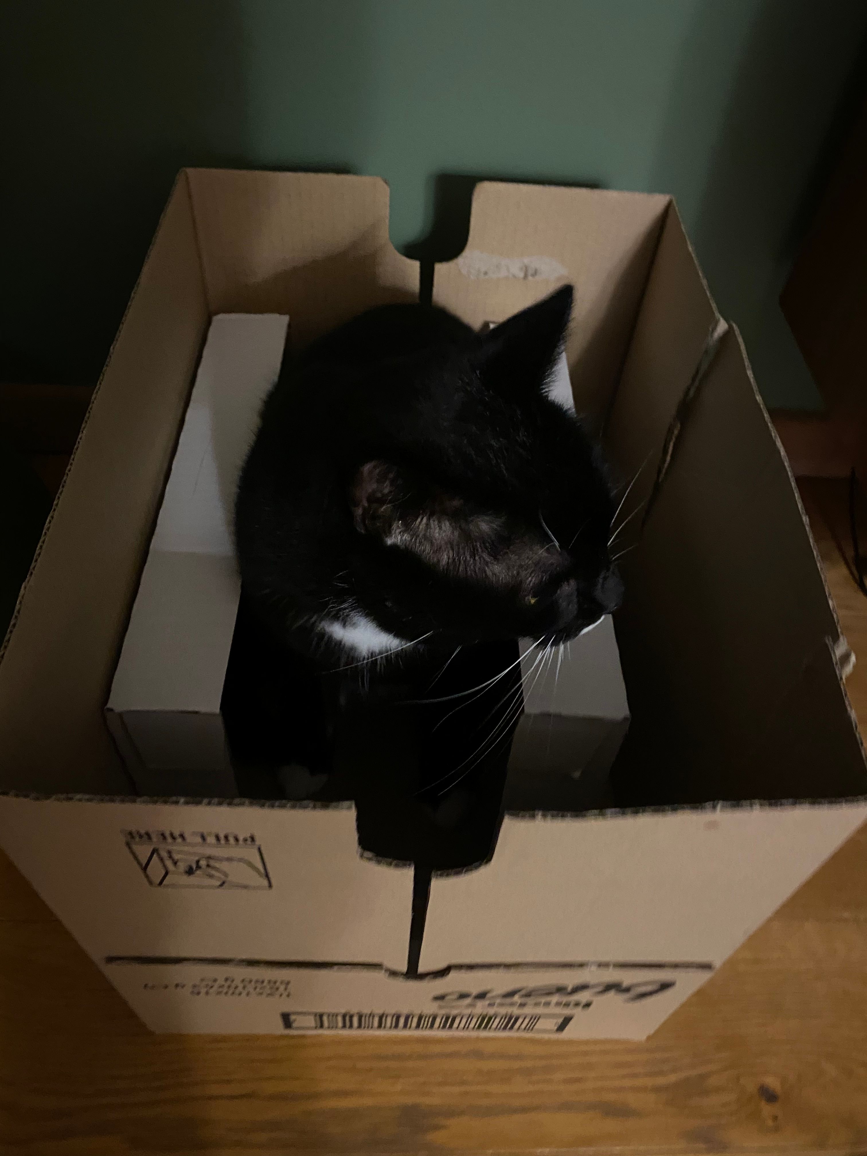 image-12