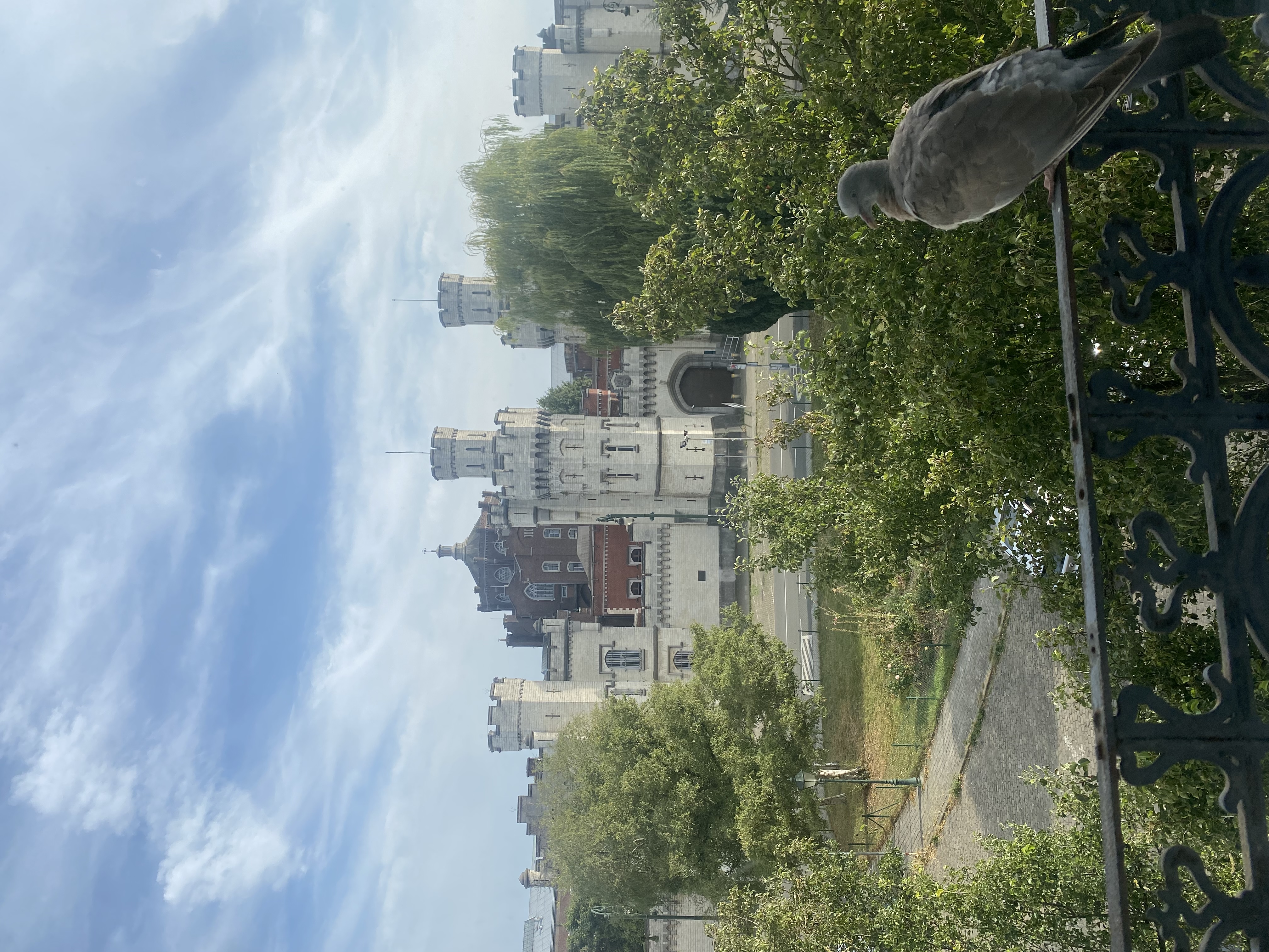 image-25