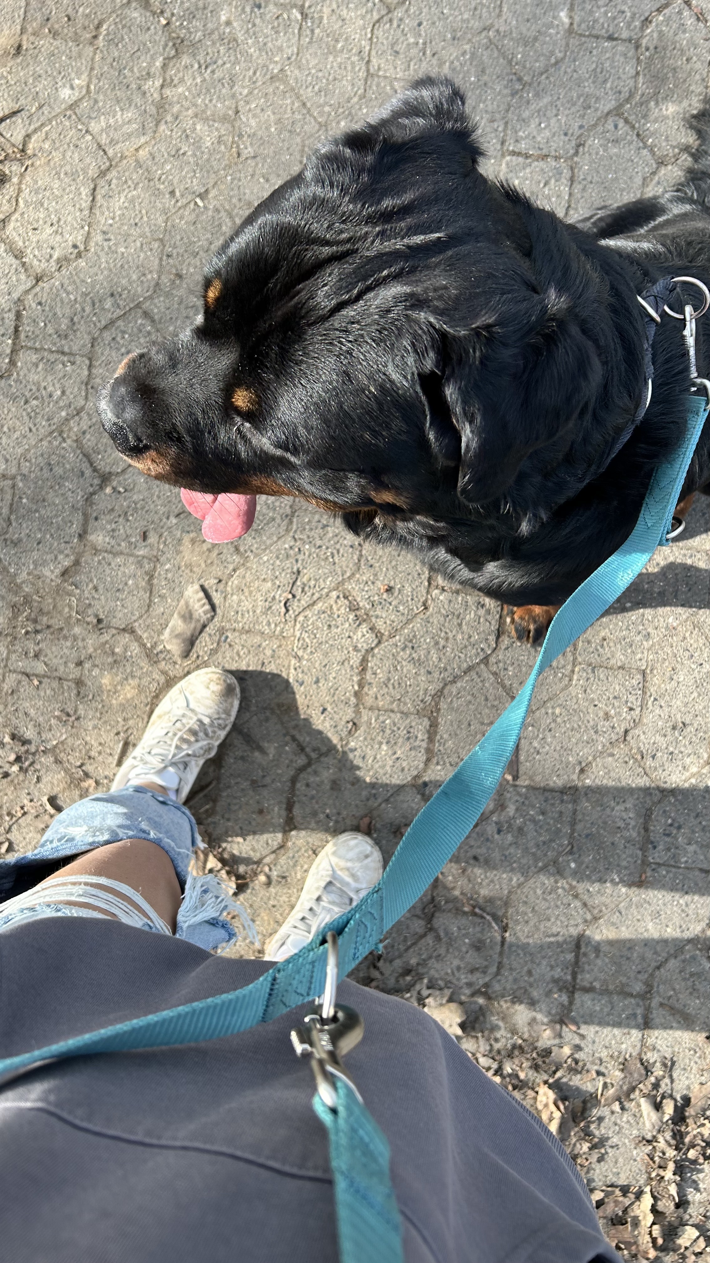 image-11