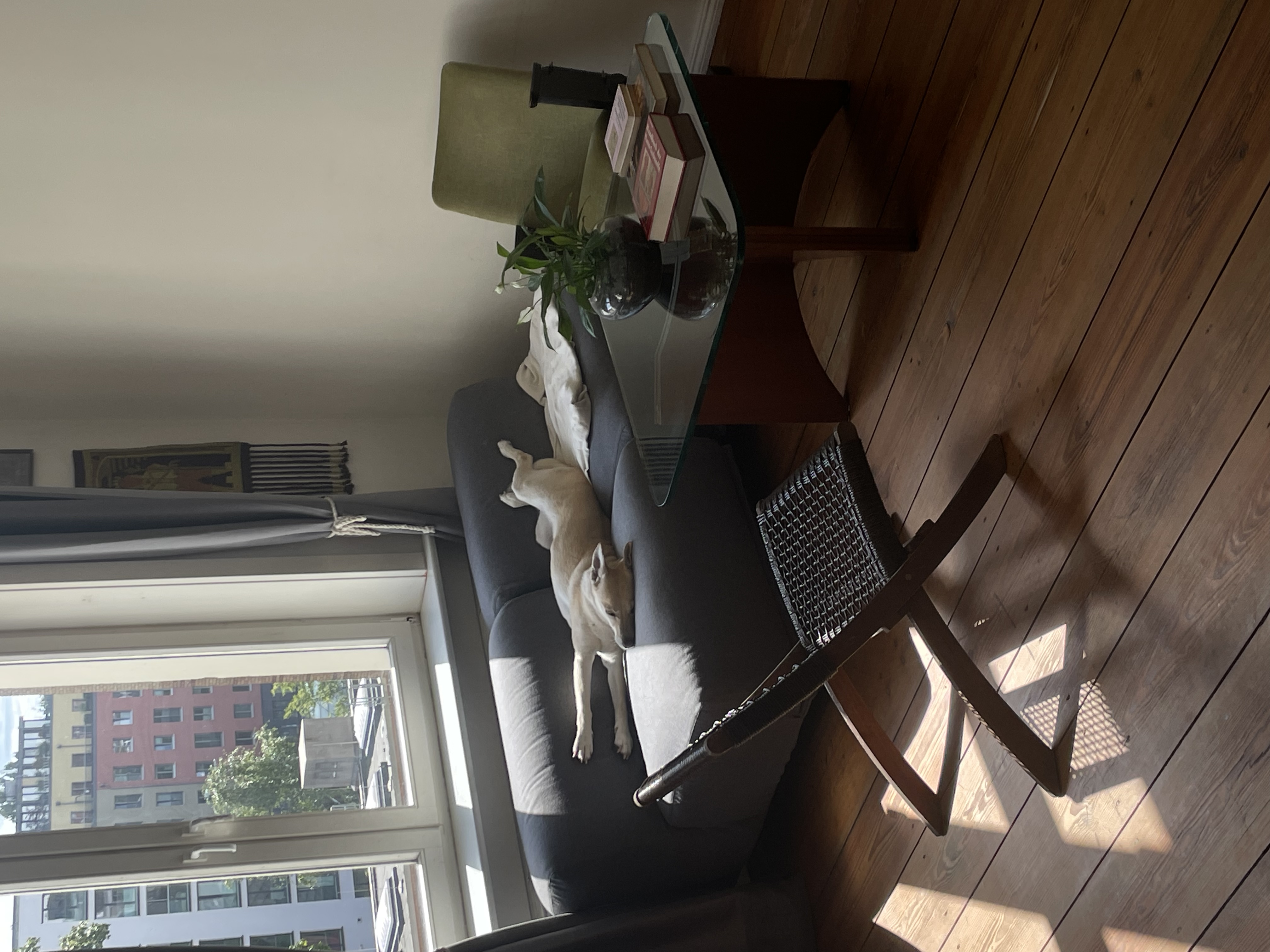 image-16