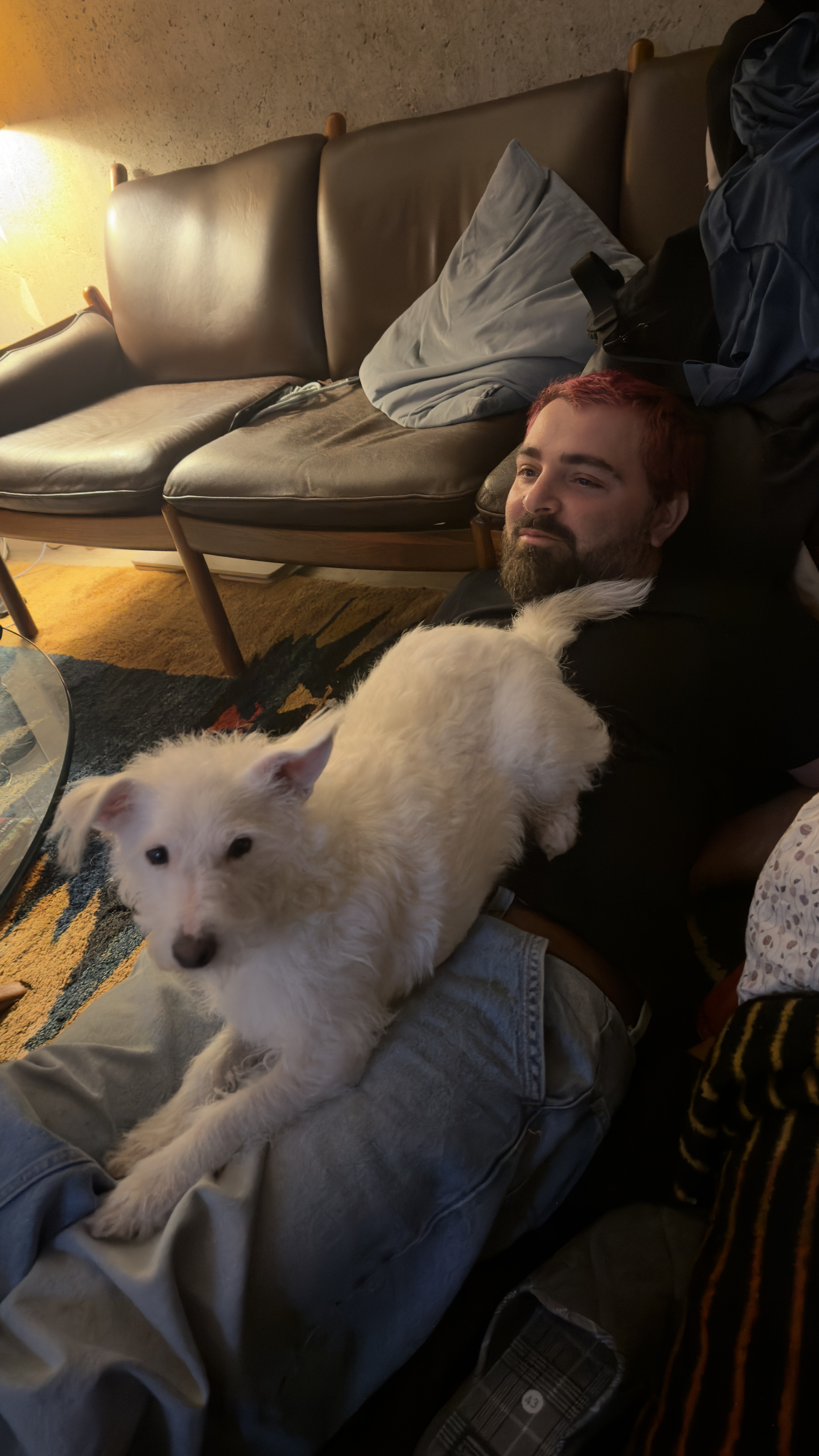 image-8