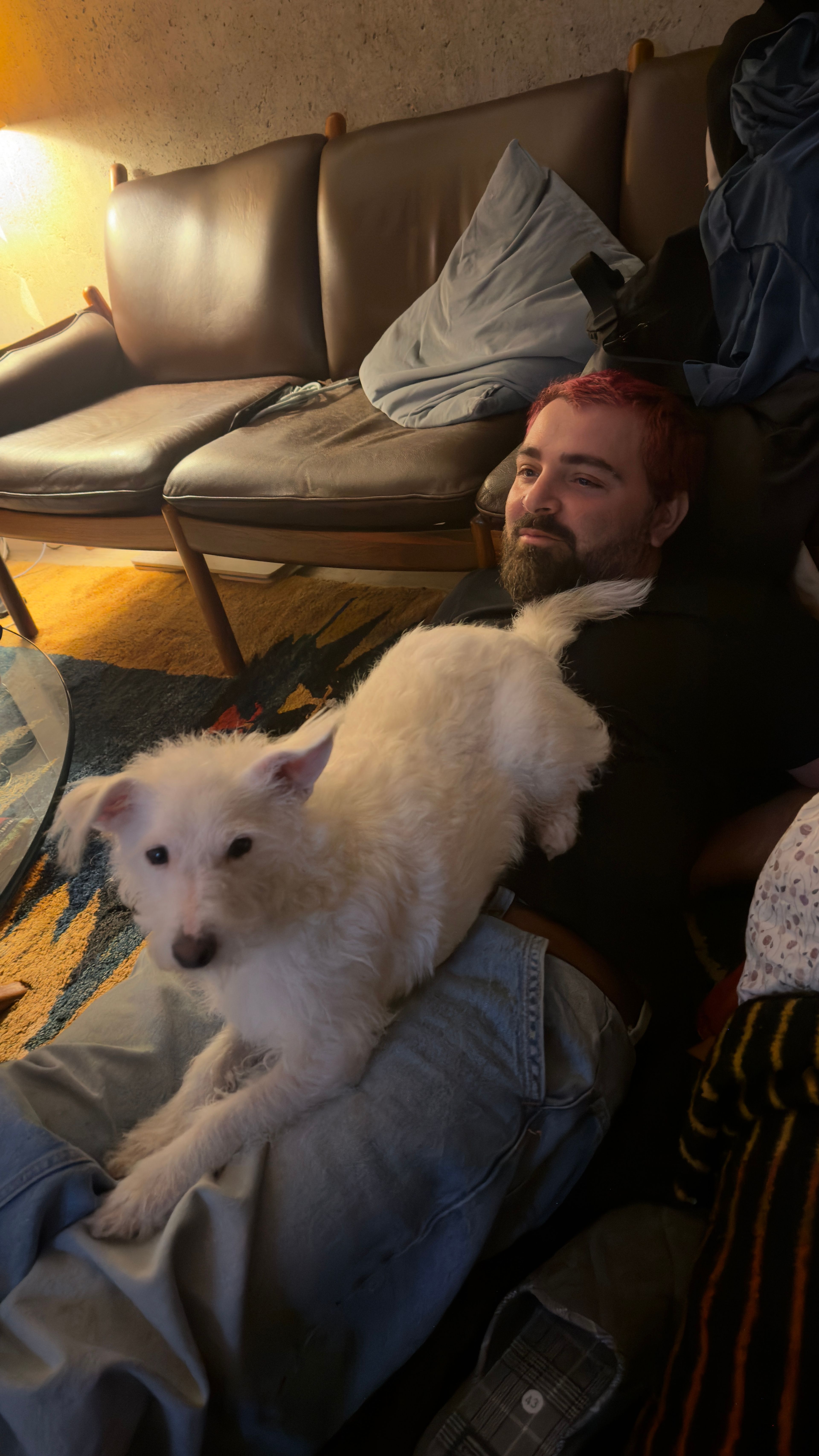 image-8