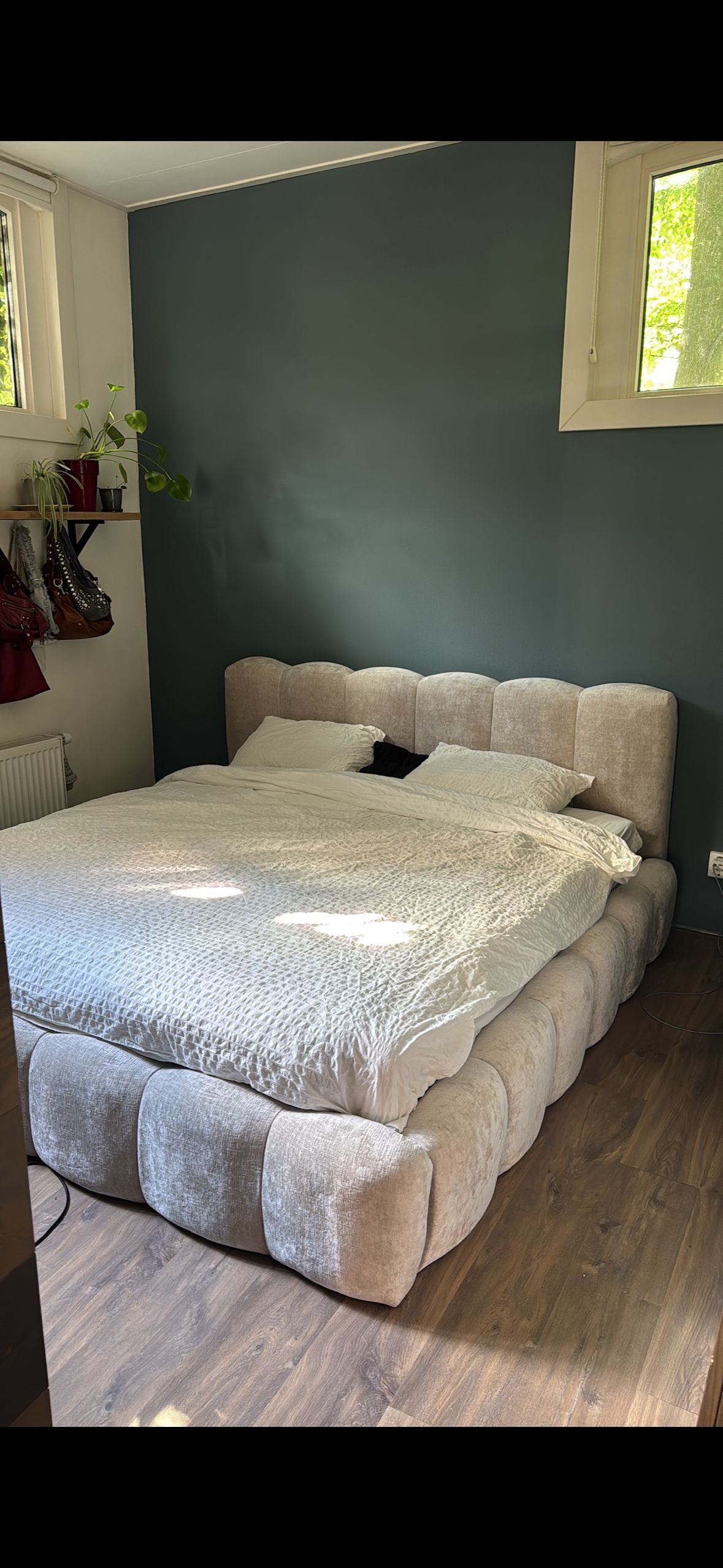 image-7