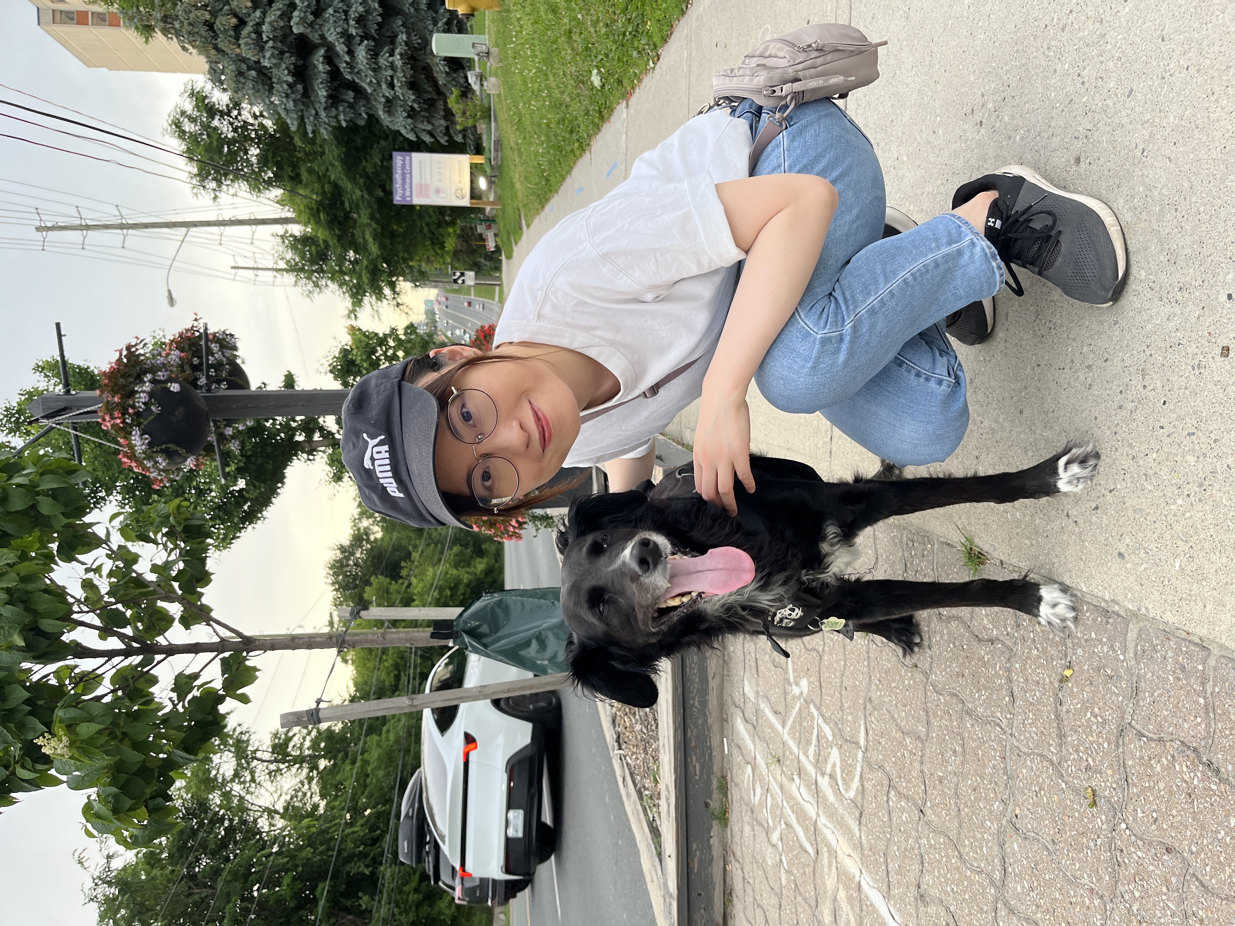 image-21