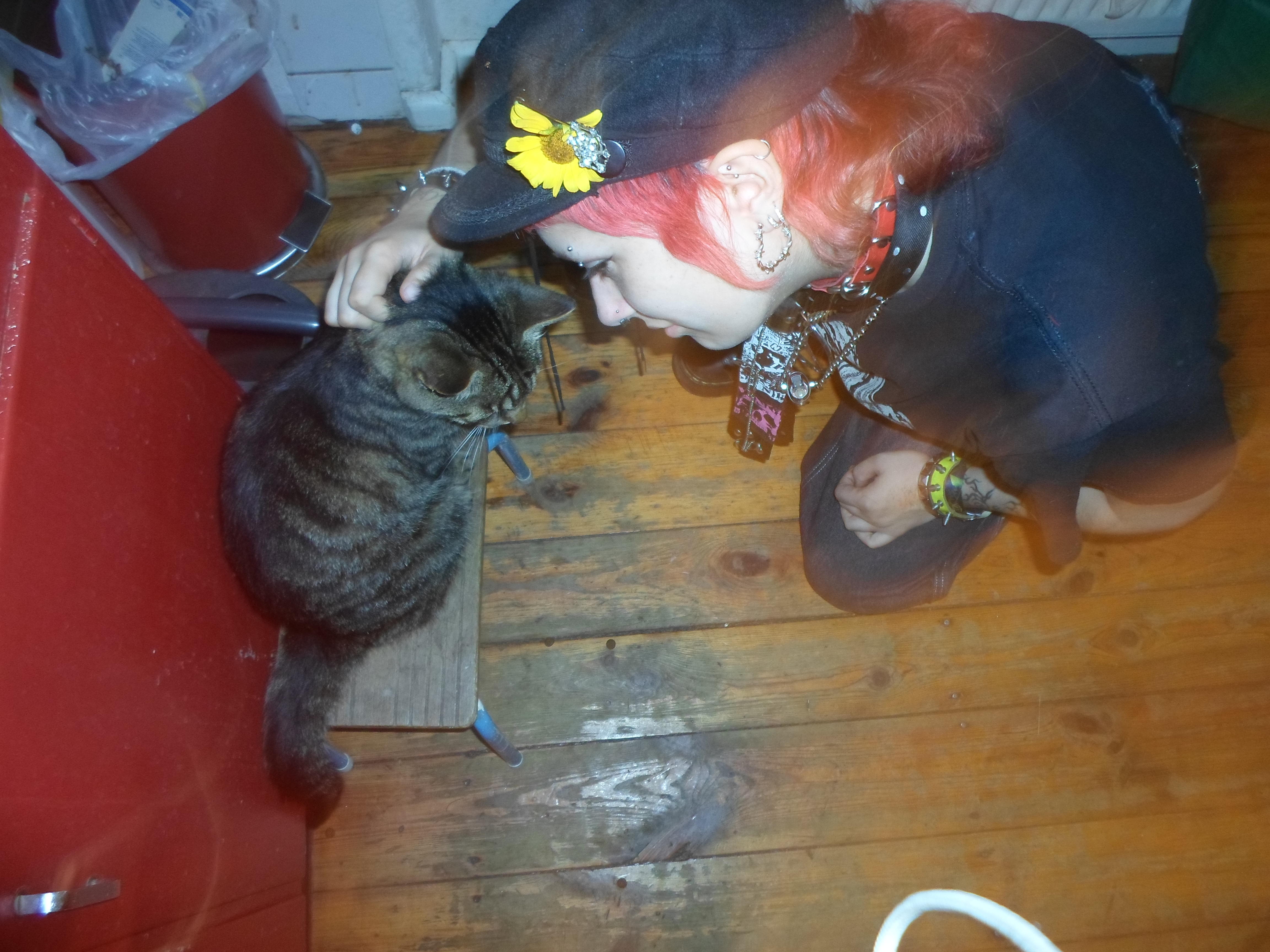 image-5