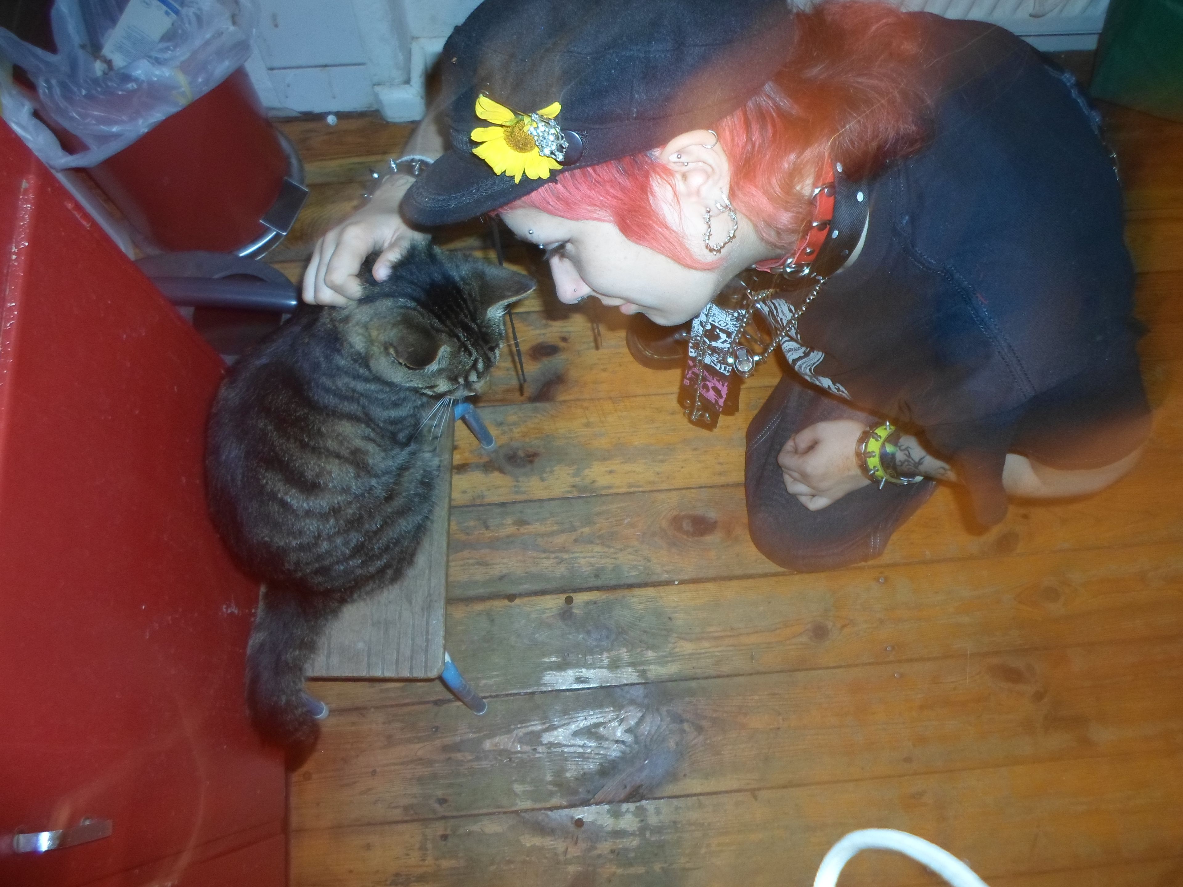 image-5