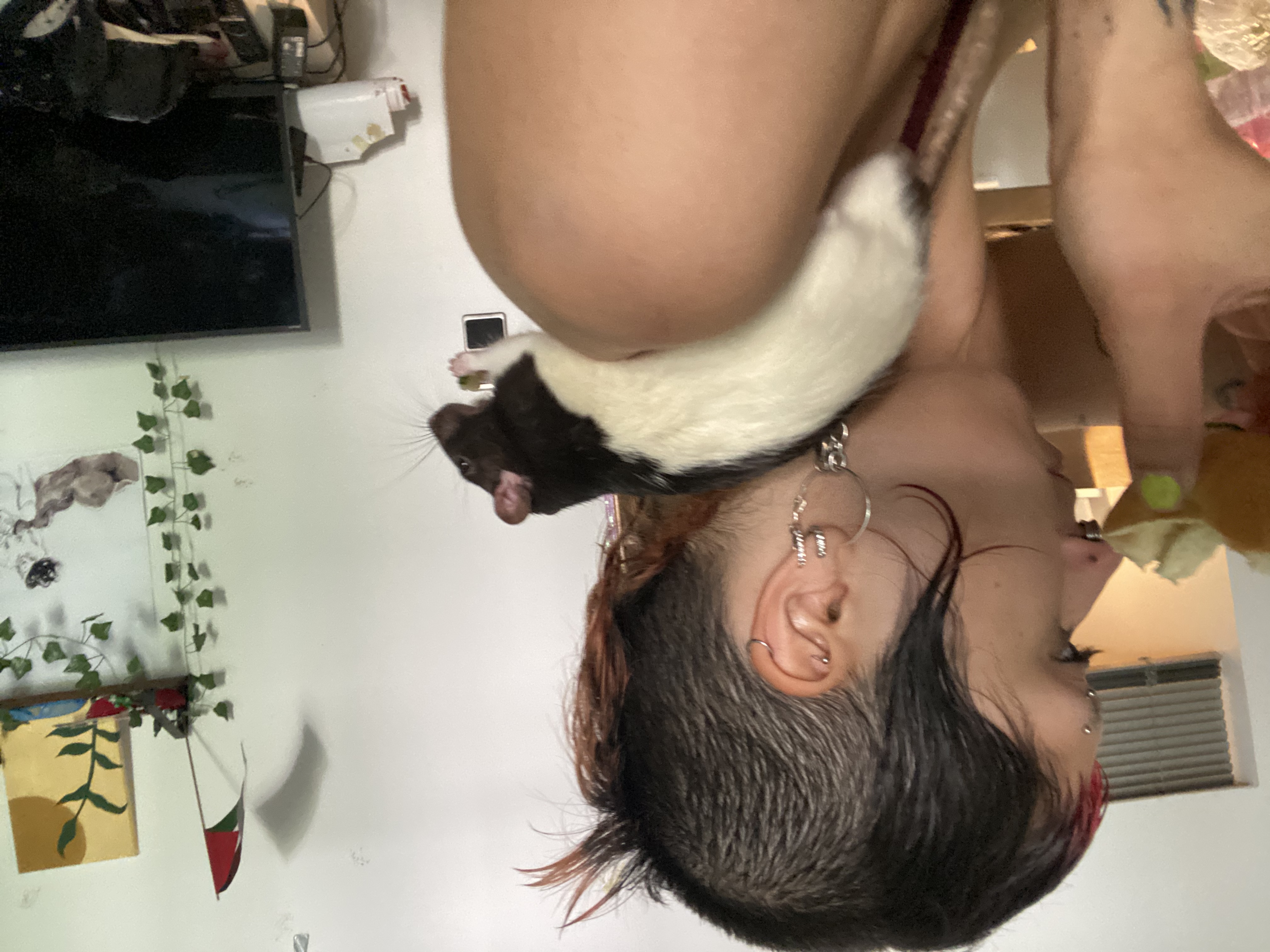 image-4