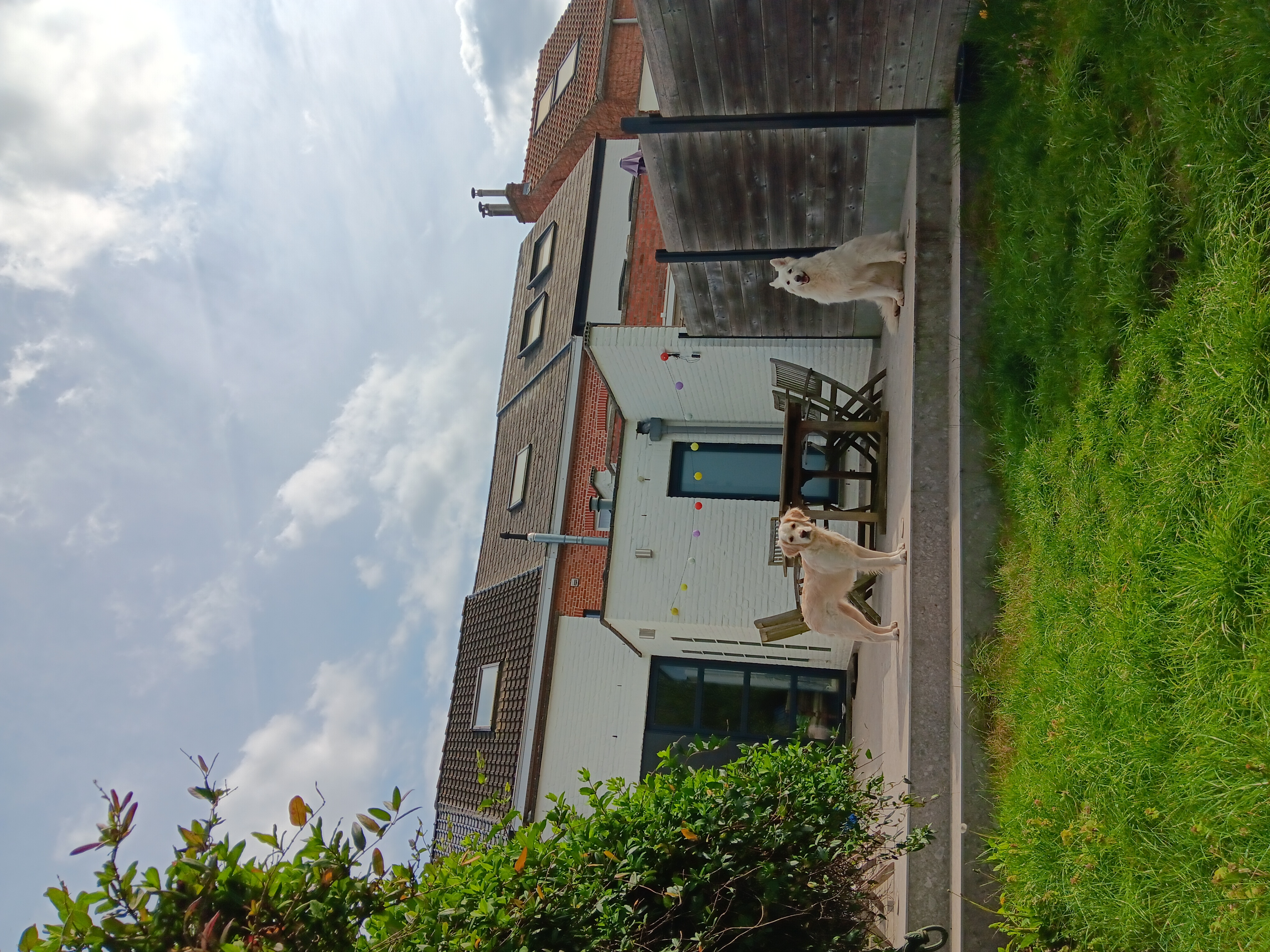 image-16