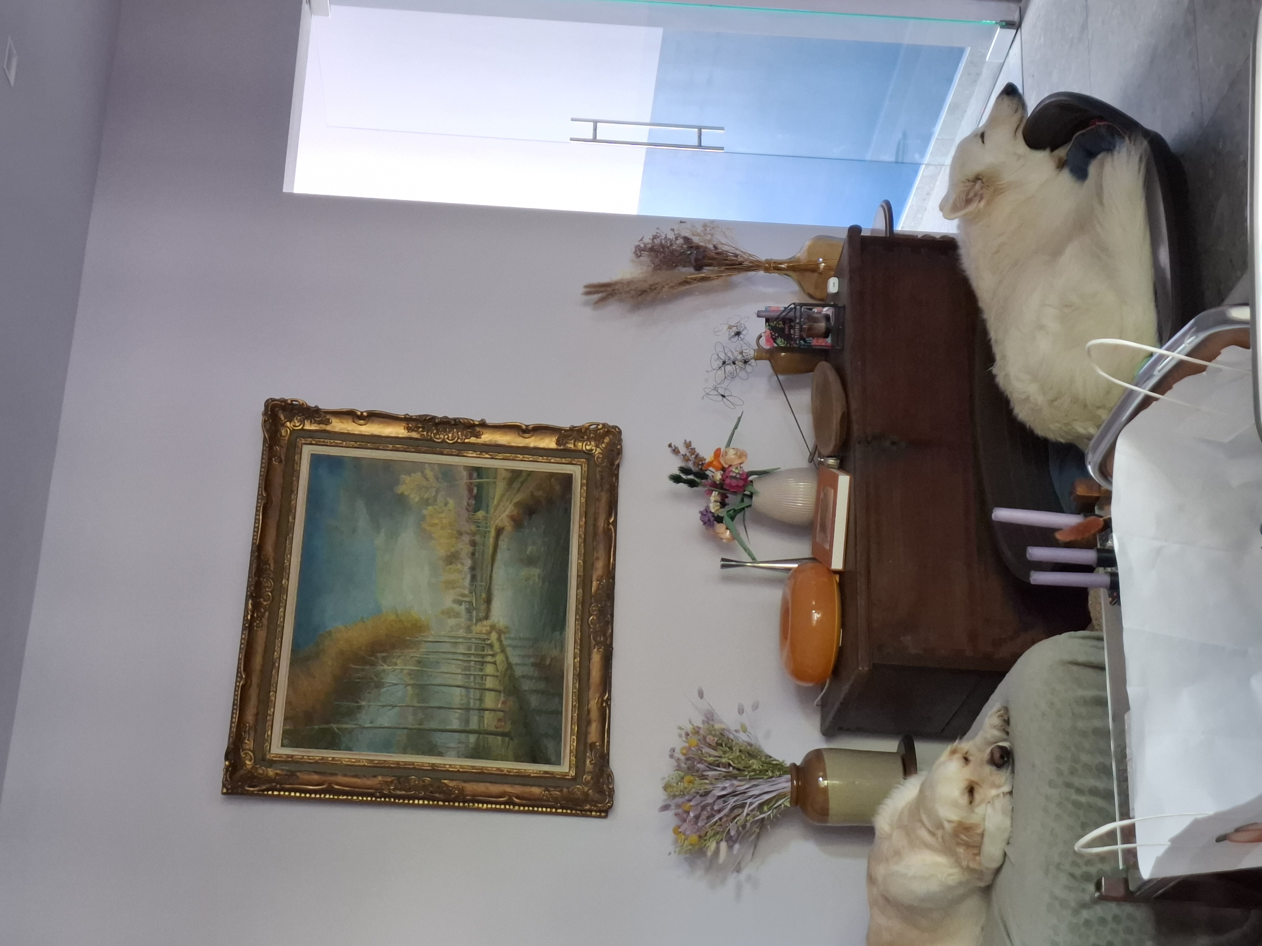 image-17