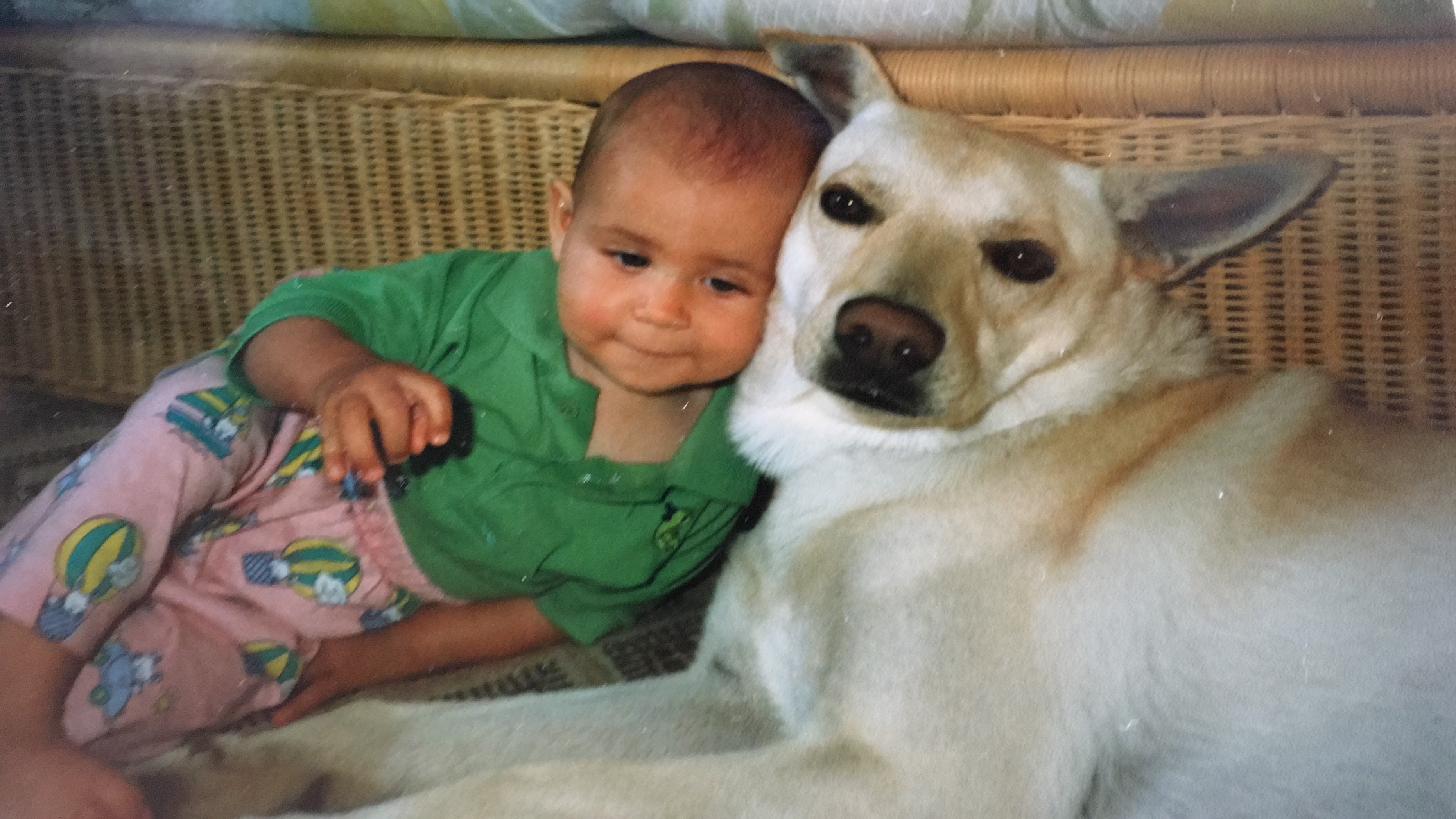 image-6