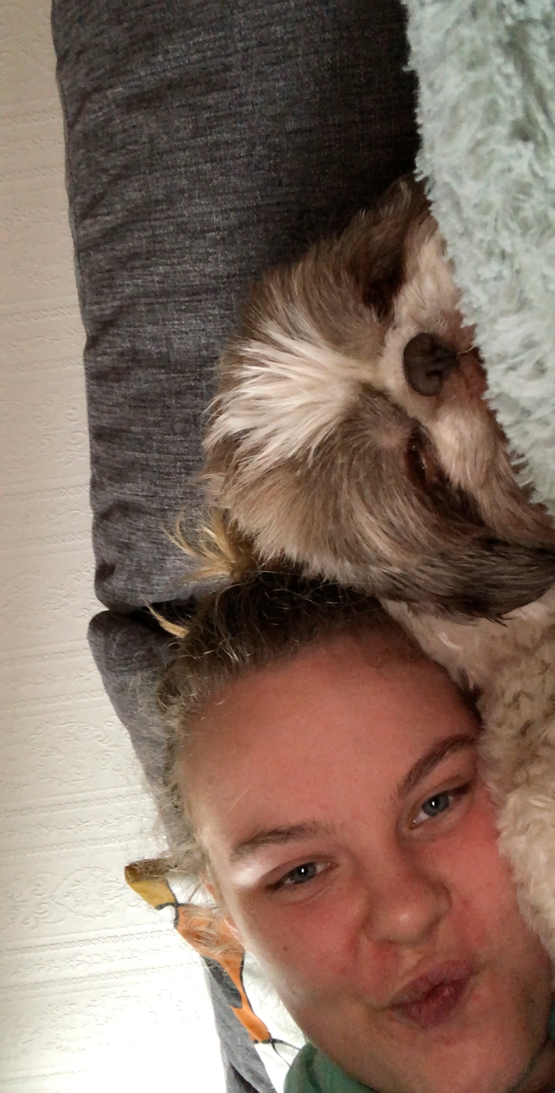 image-8