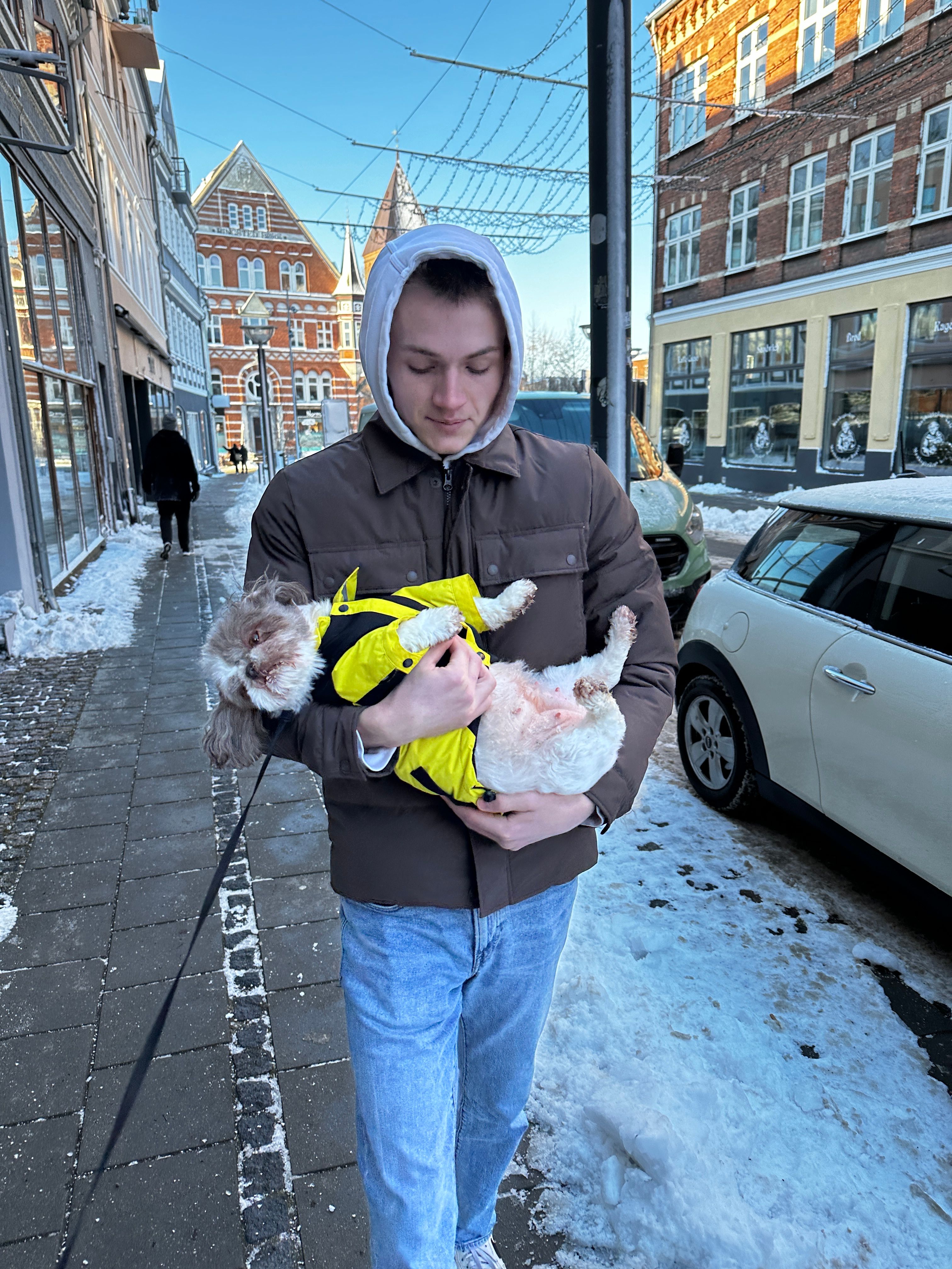 image-10