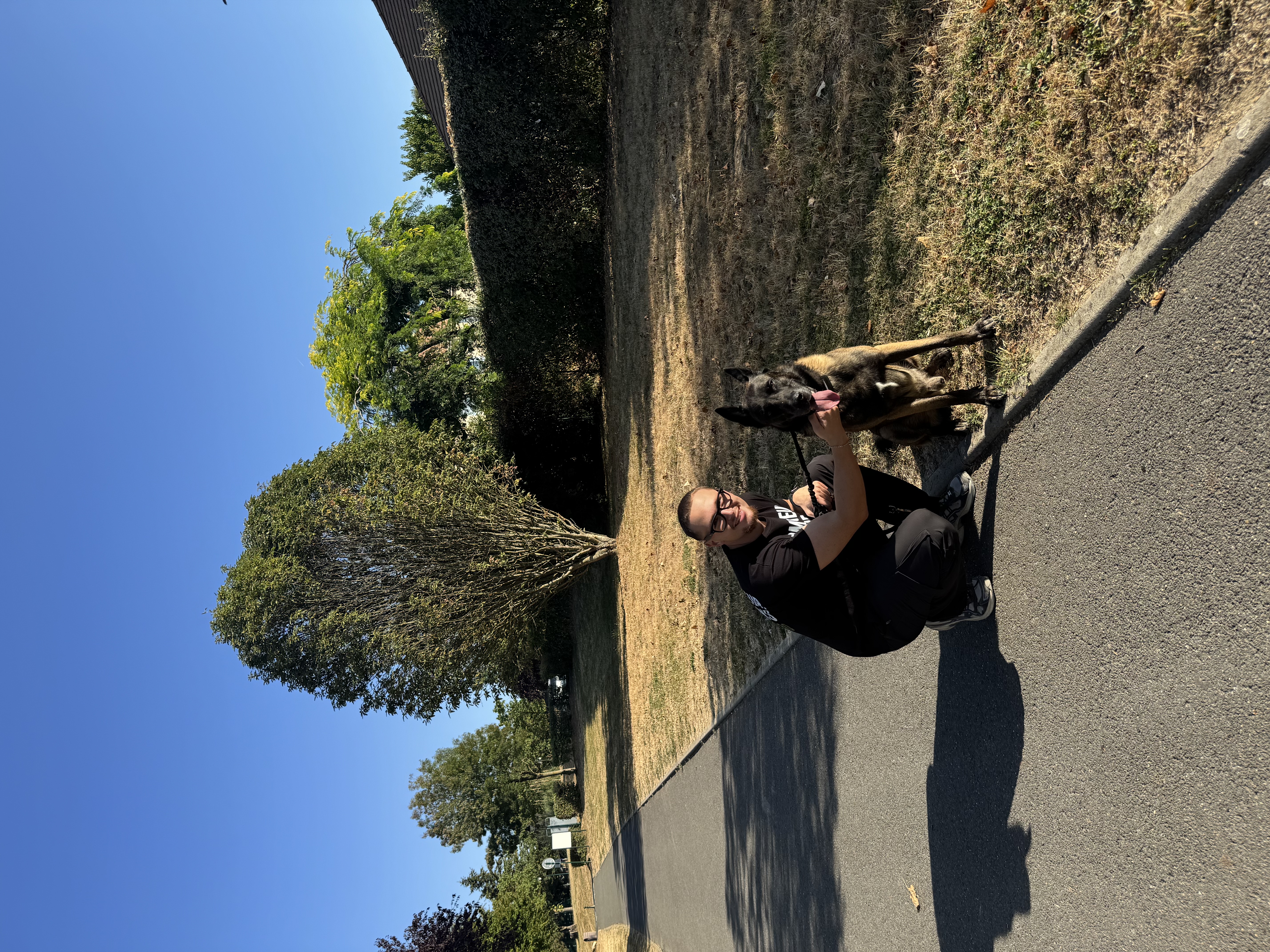 image-4