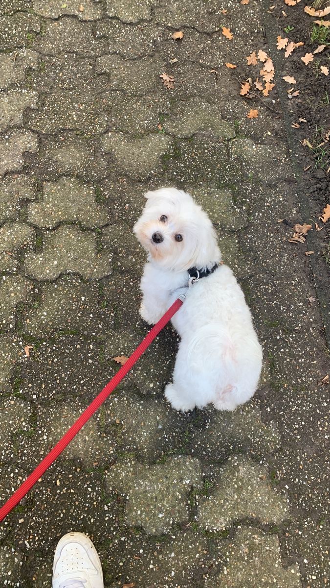 image-24