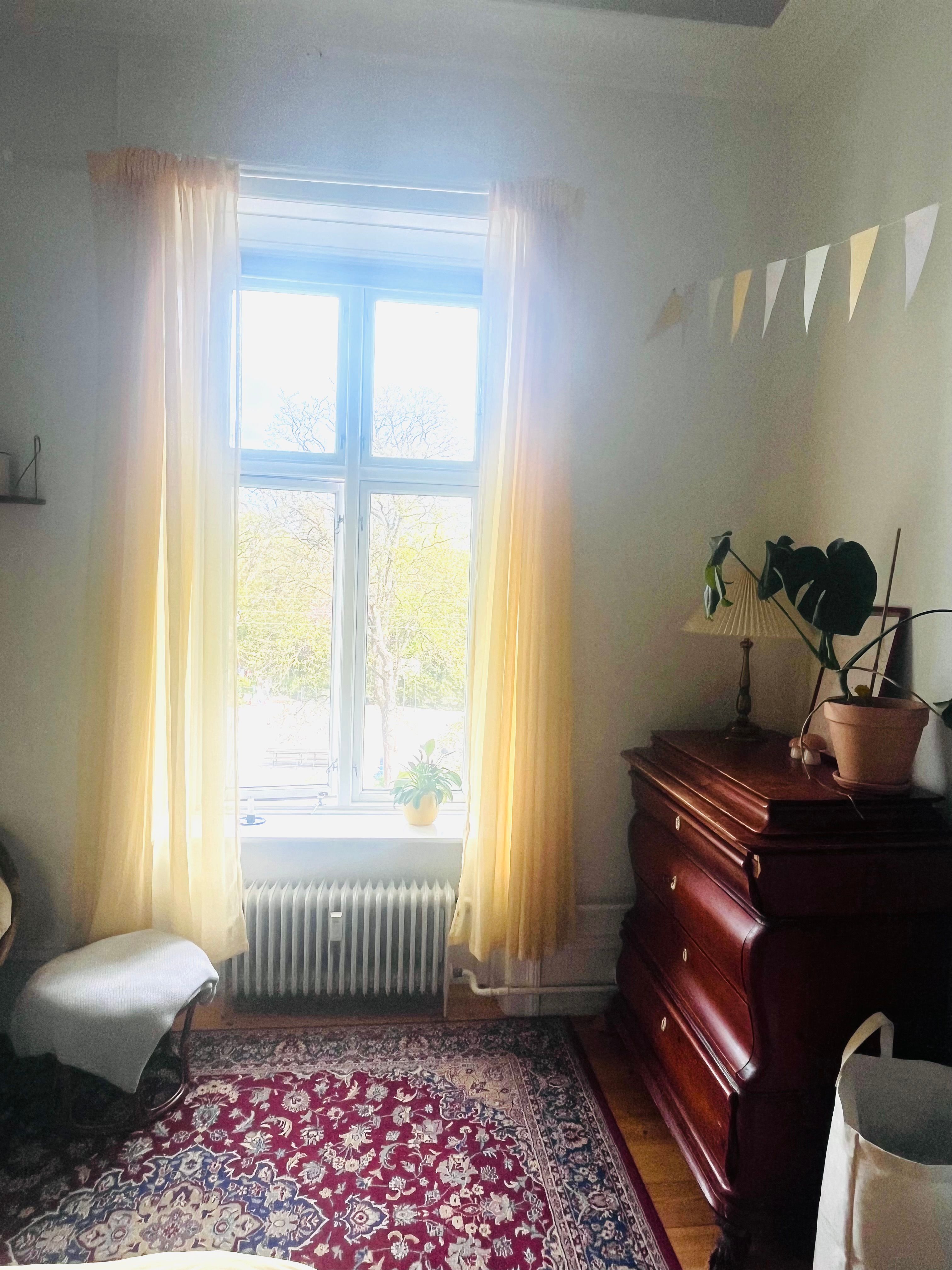 image-19