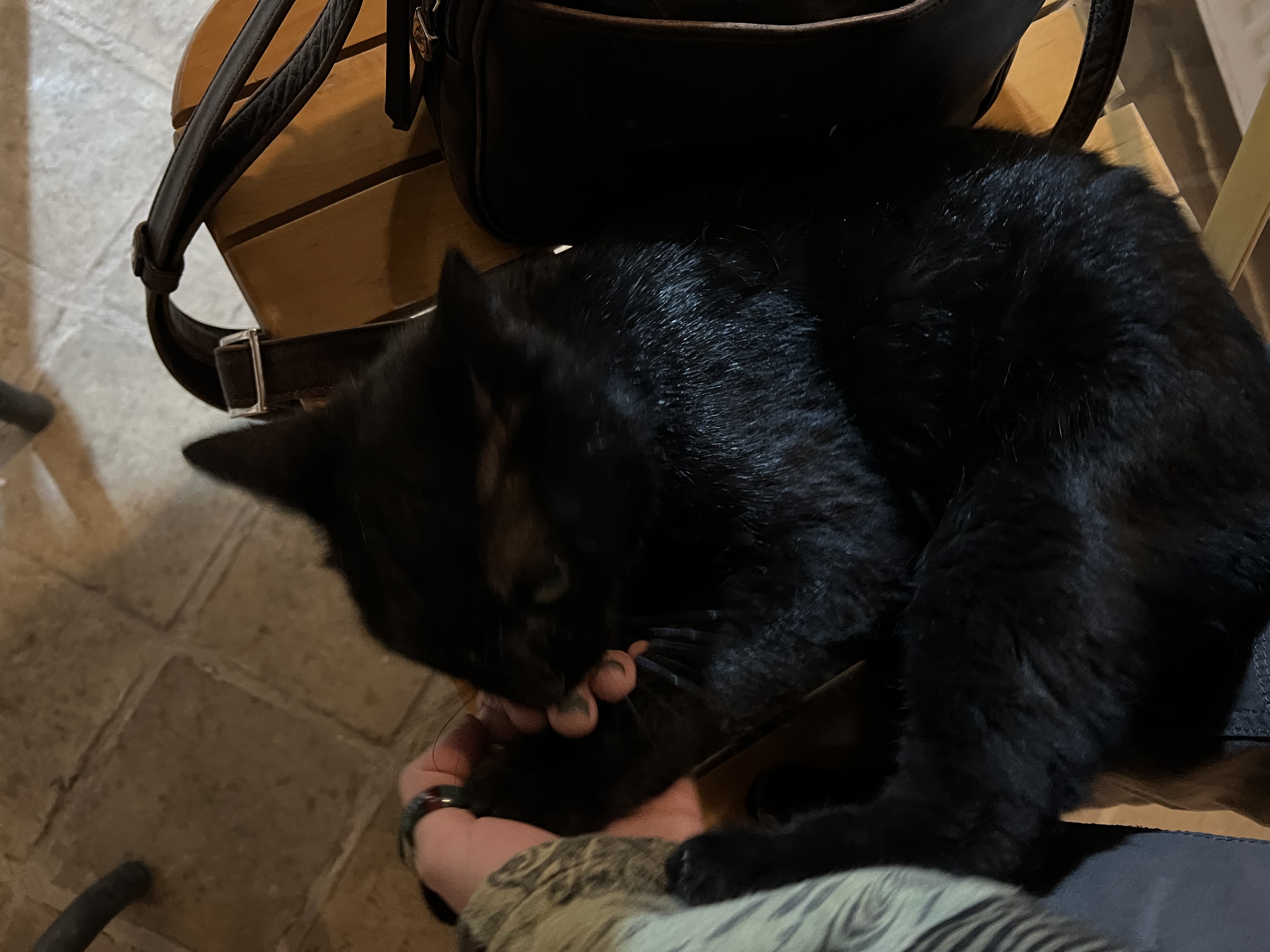image-9