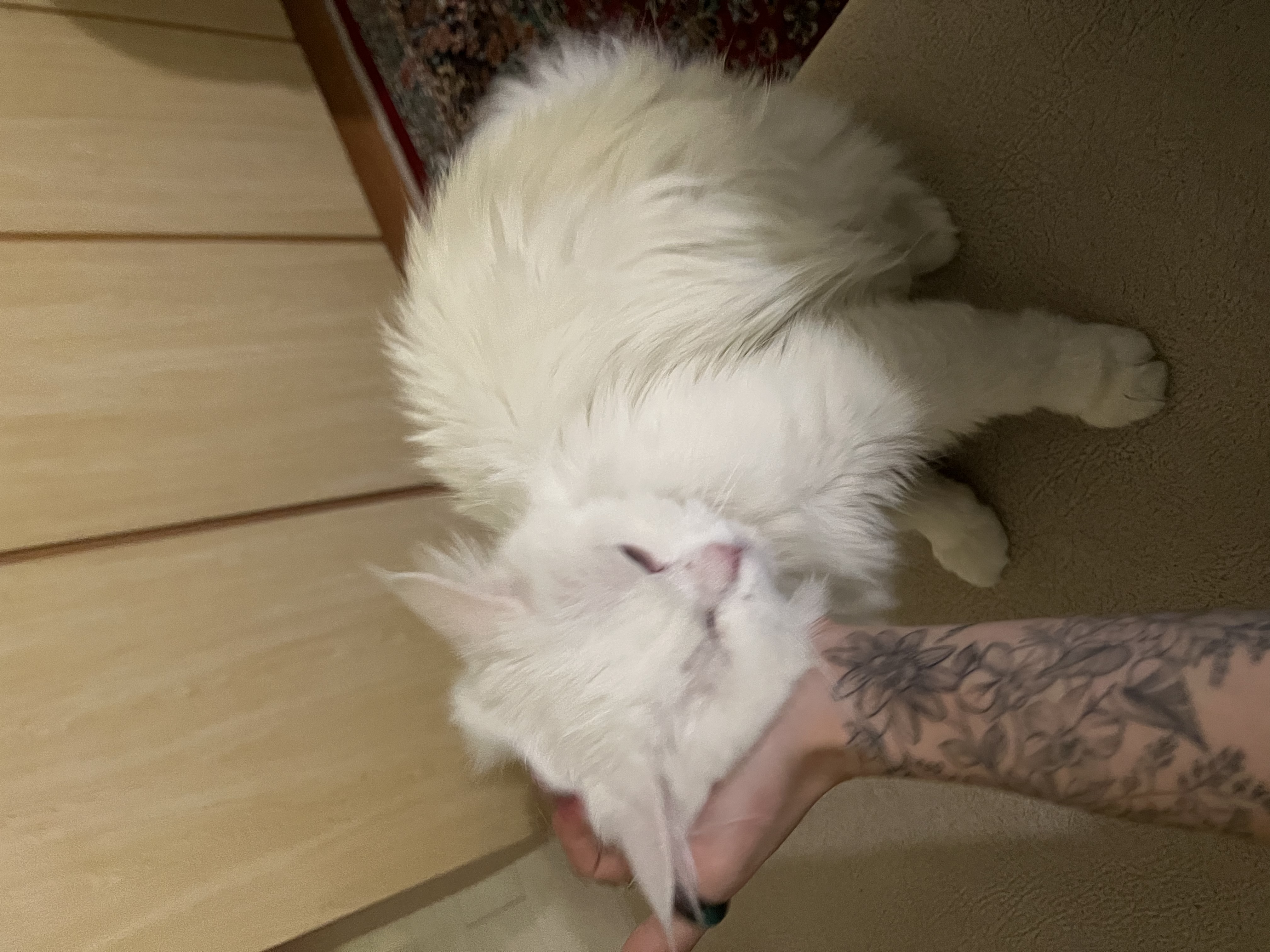 image-6