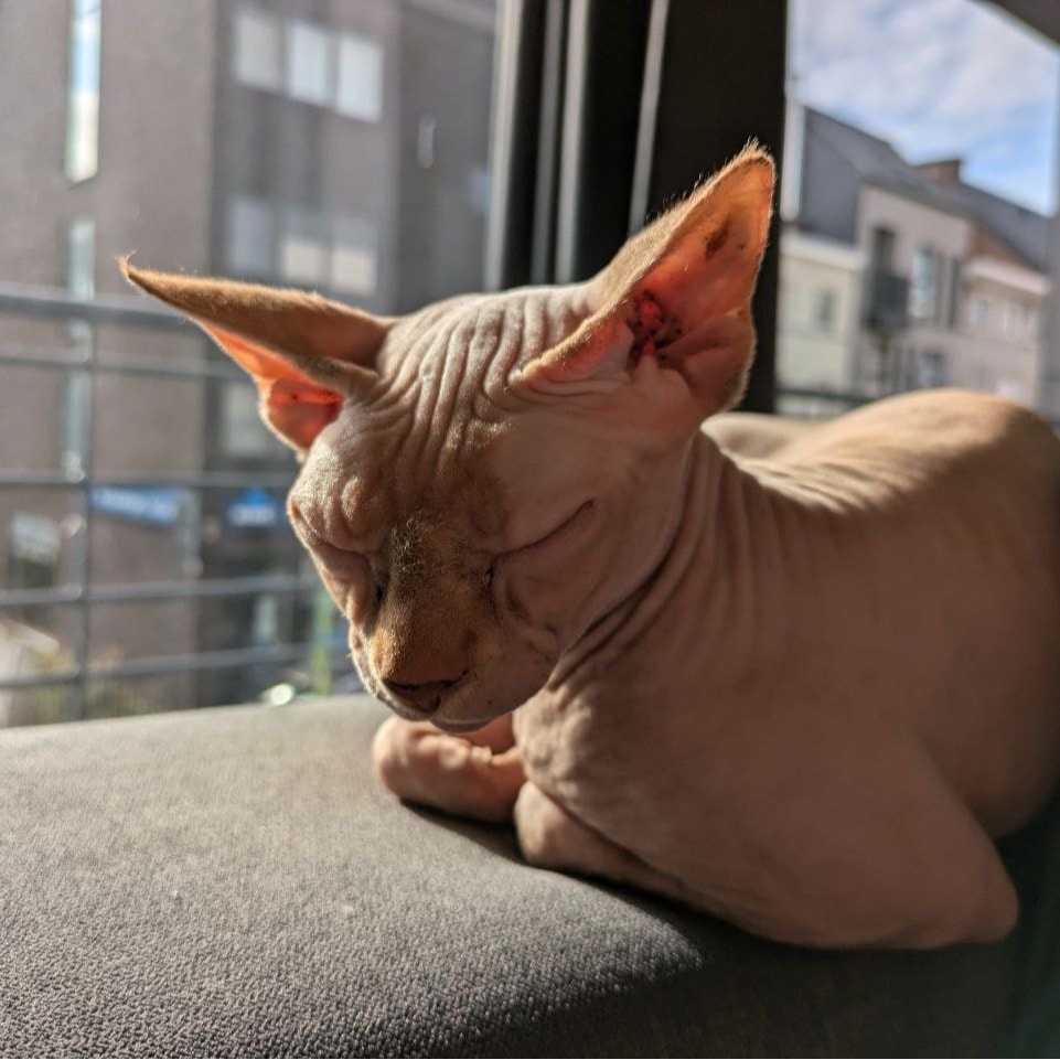 Mo