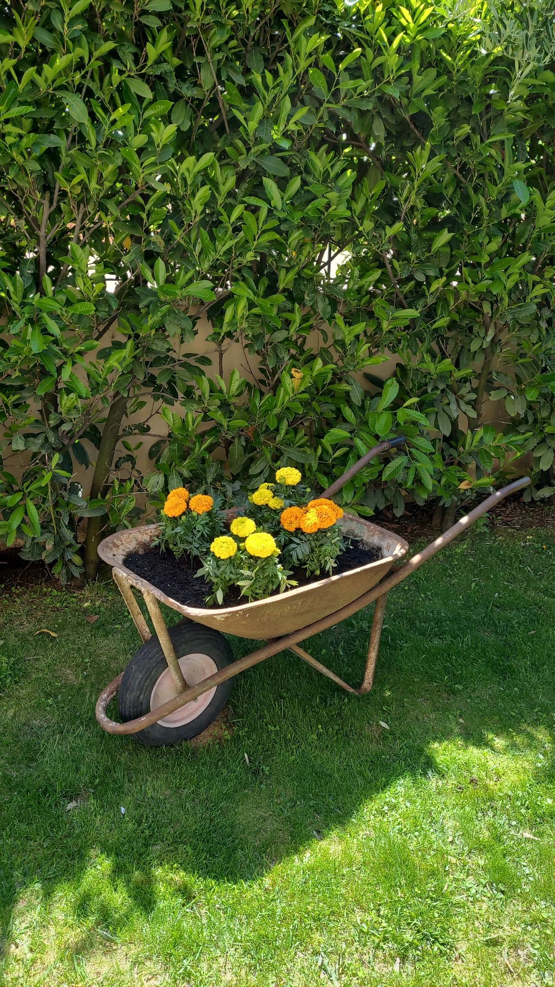 image-13