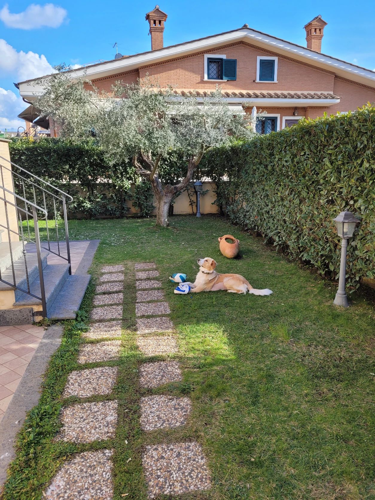 image-11