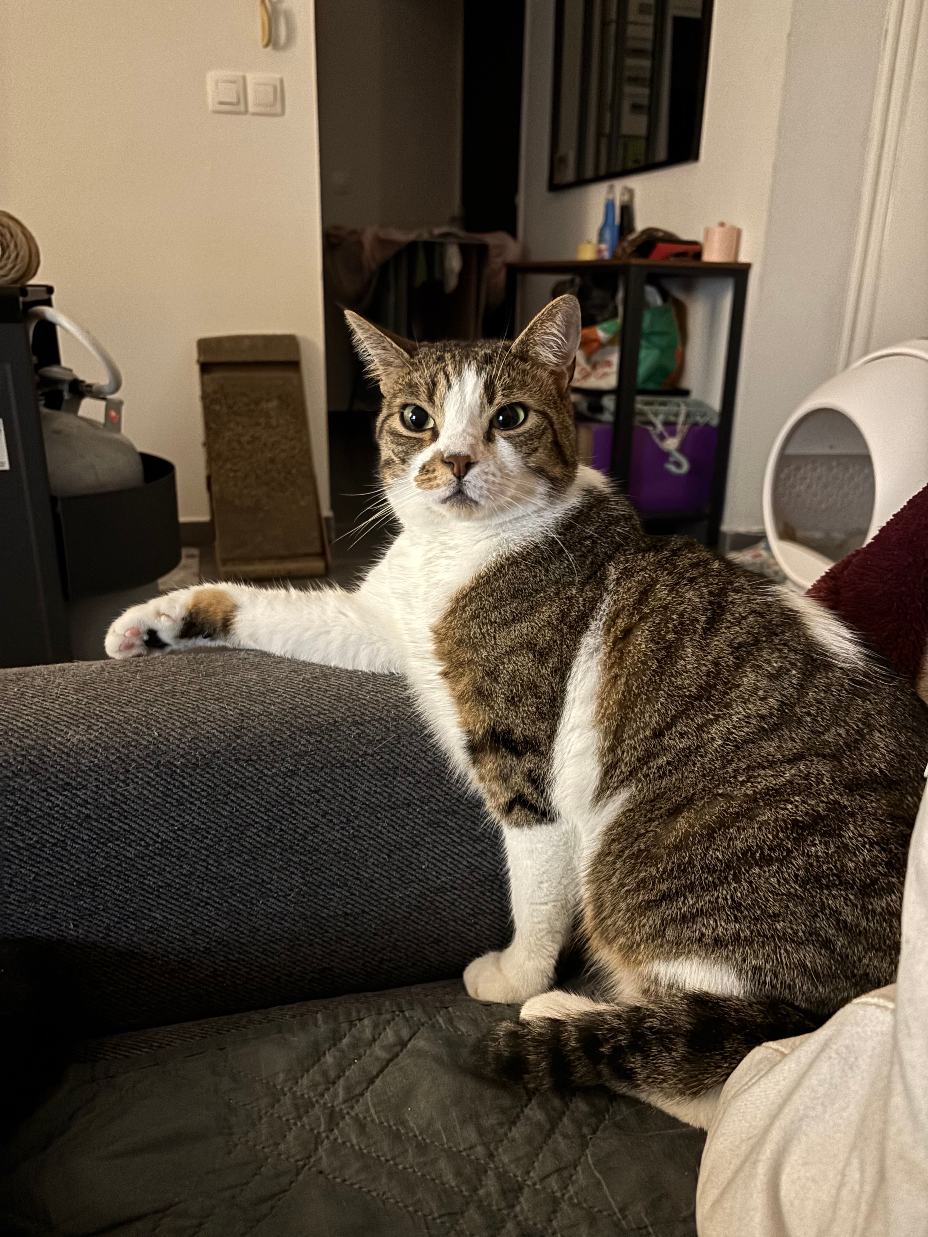 image-15